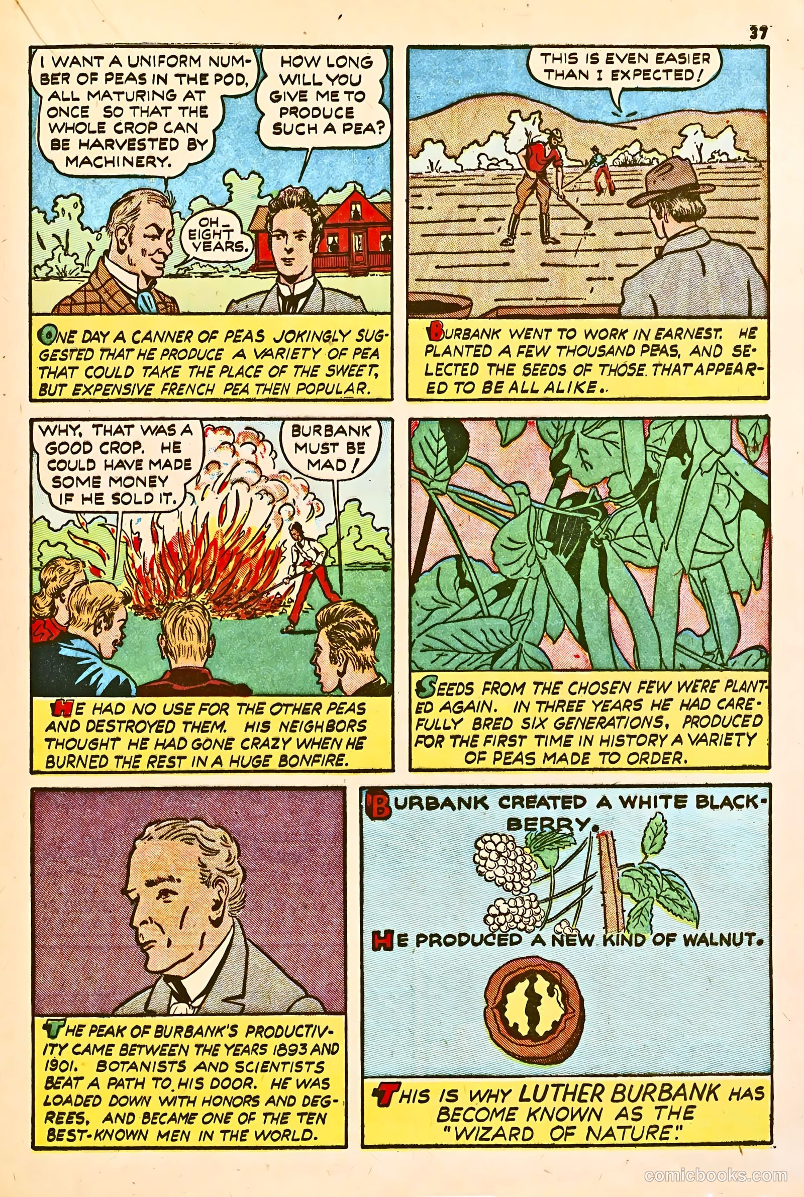True Comics #2 — page 38 of 67