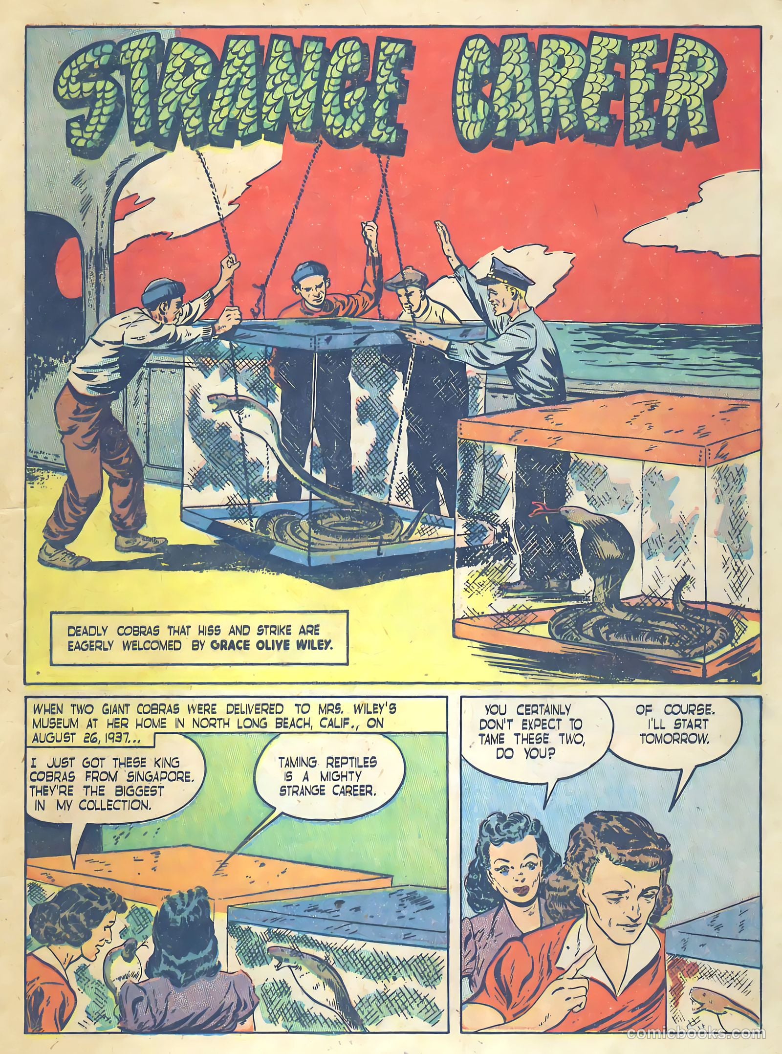 True Comics #58 — page 11 of 53