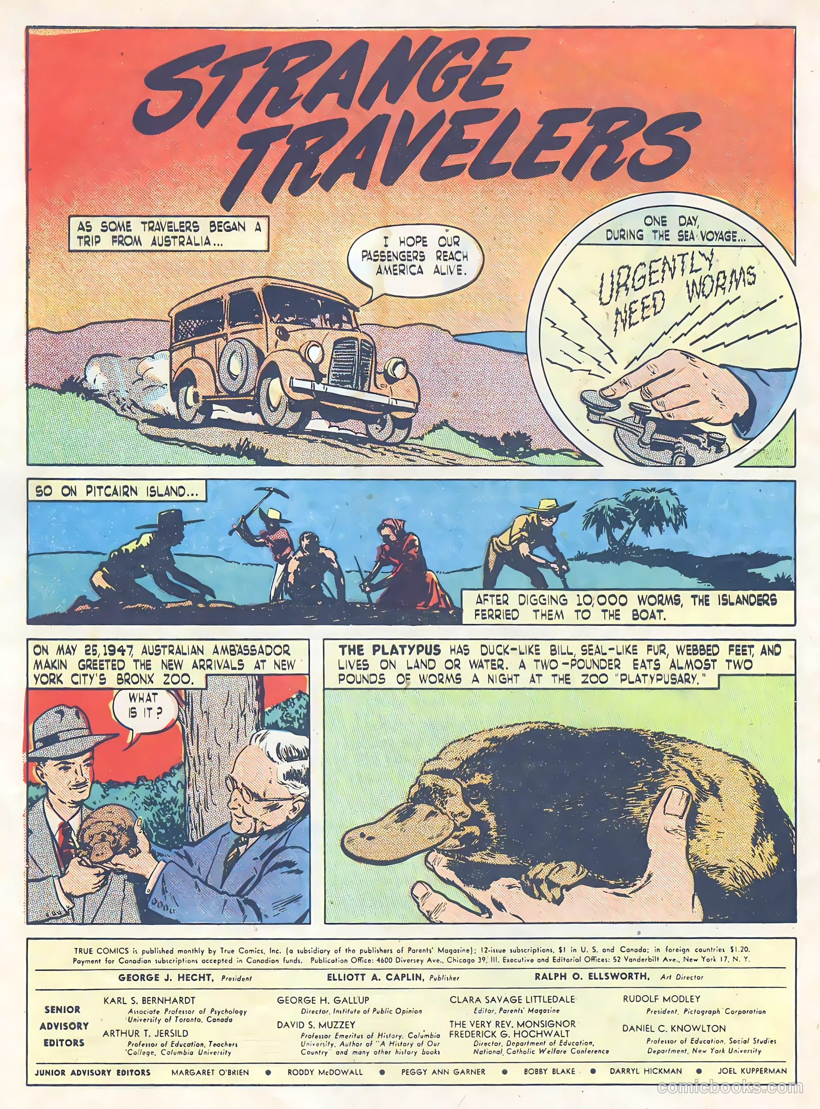 True Comics #65 — page 34 of 36