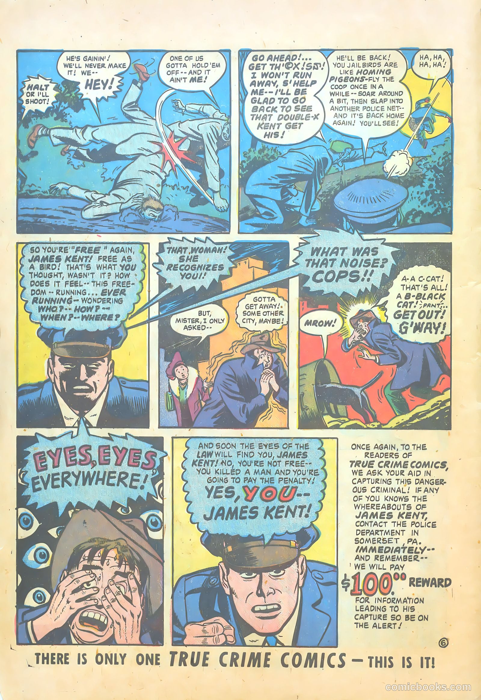 True Crime Comics #2 — page 8 of 51