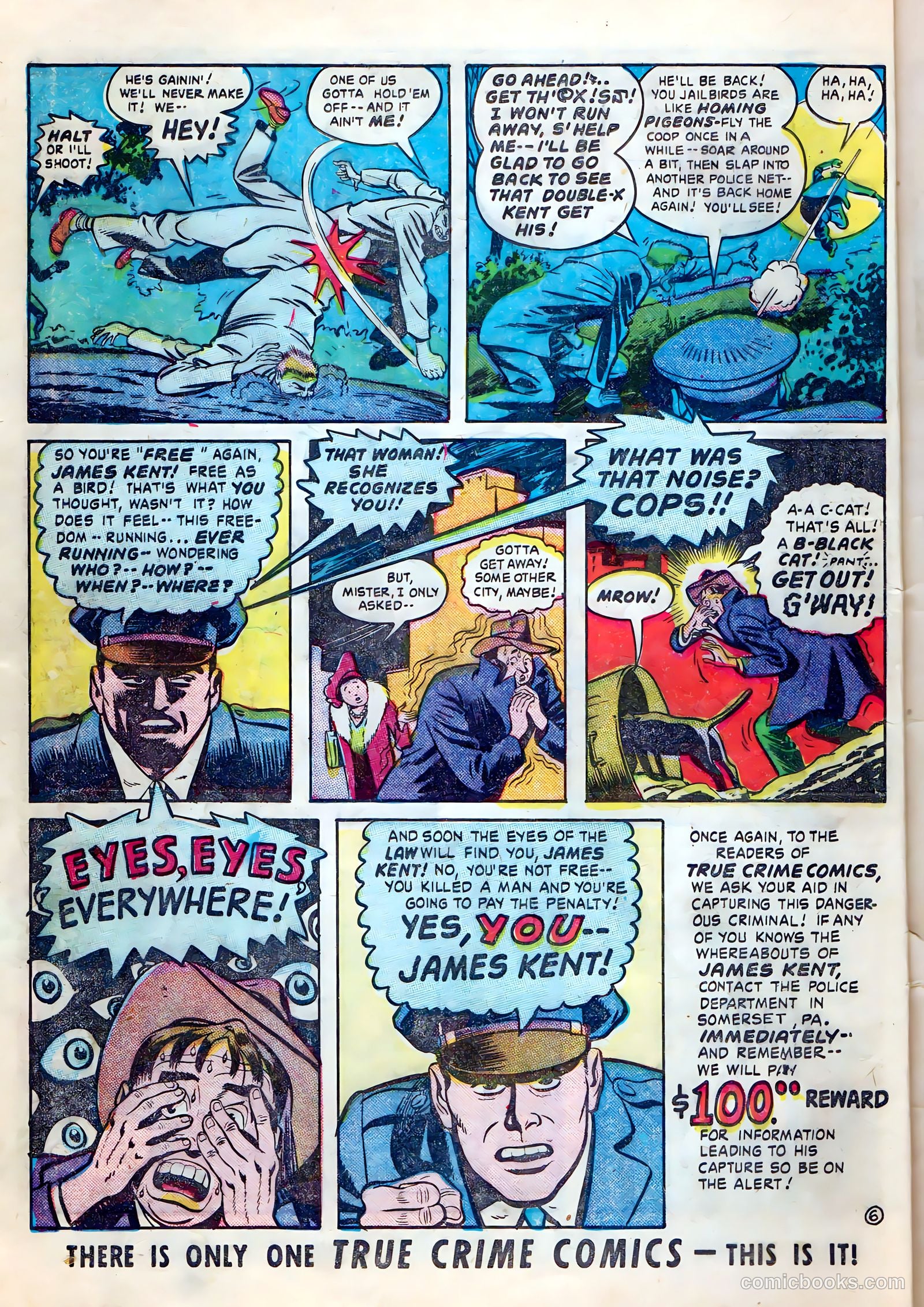 True Crime Comics #4 — page 8 of 37