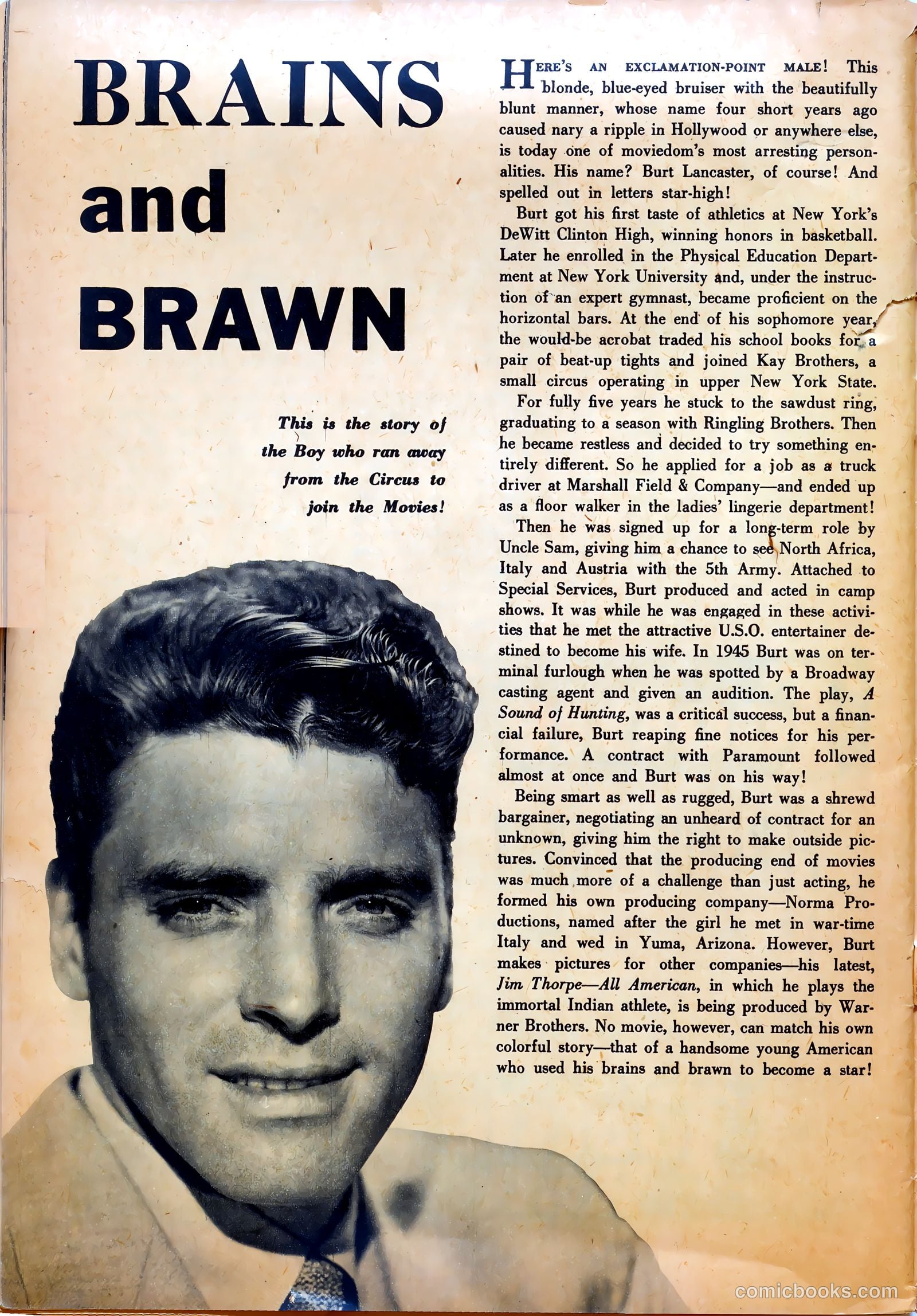 True Movie and Television #4 — page 42 of 52