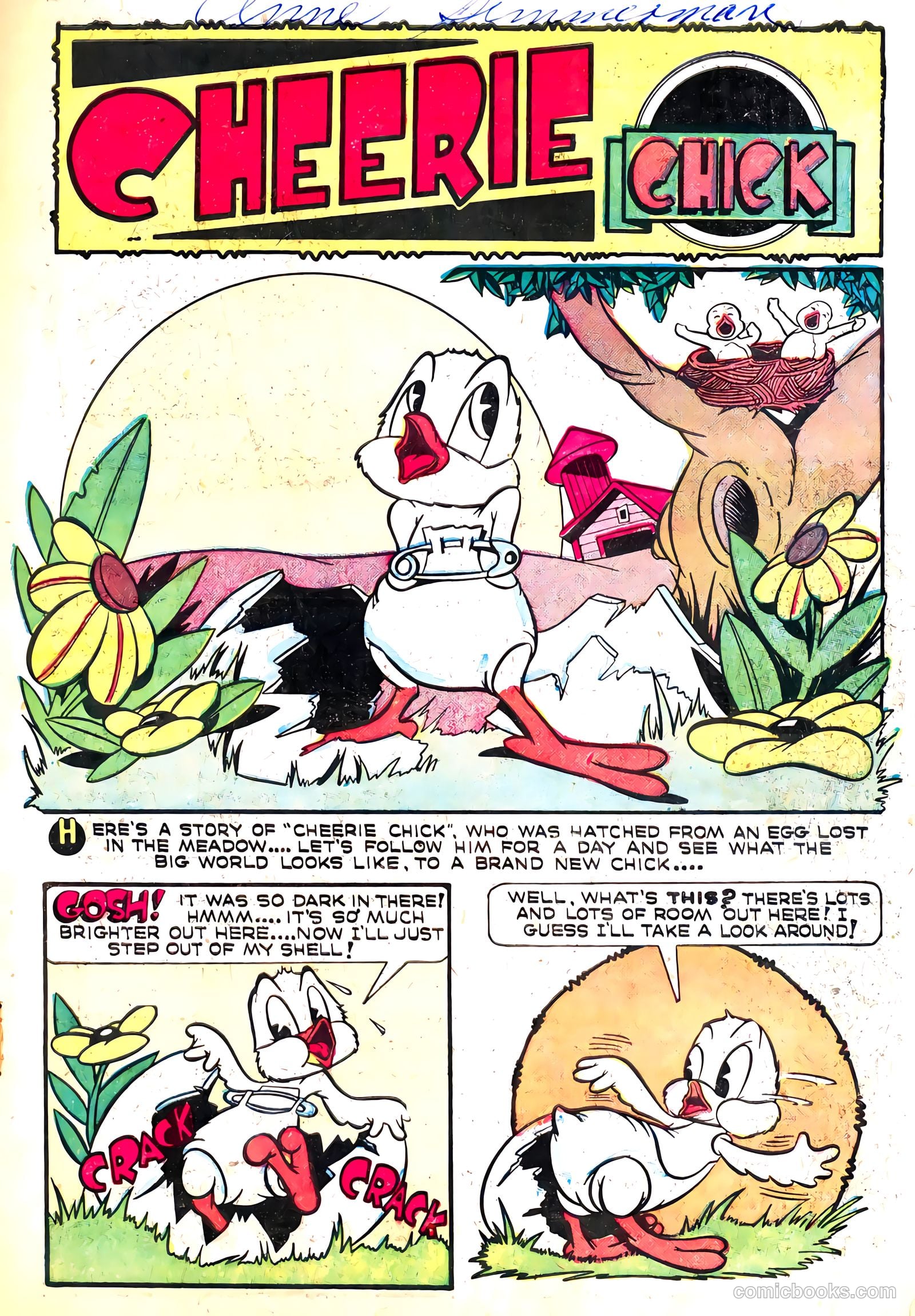 Tuffy Turtle #1 — page 3 of 36