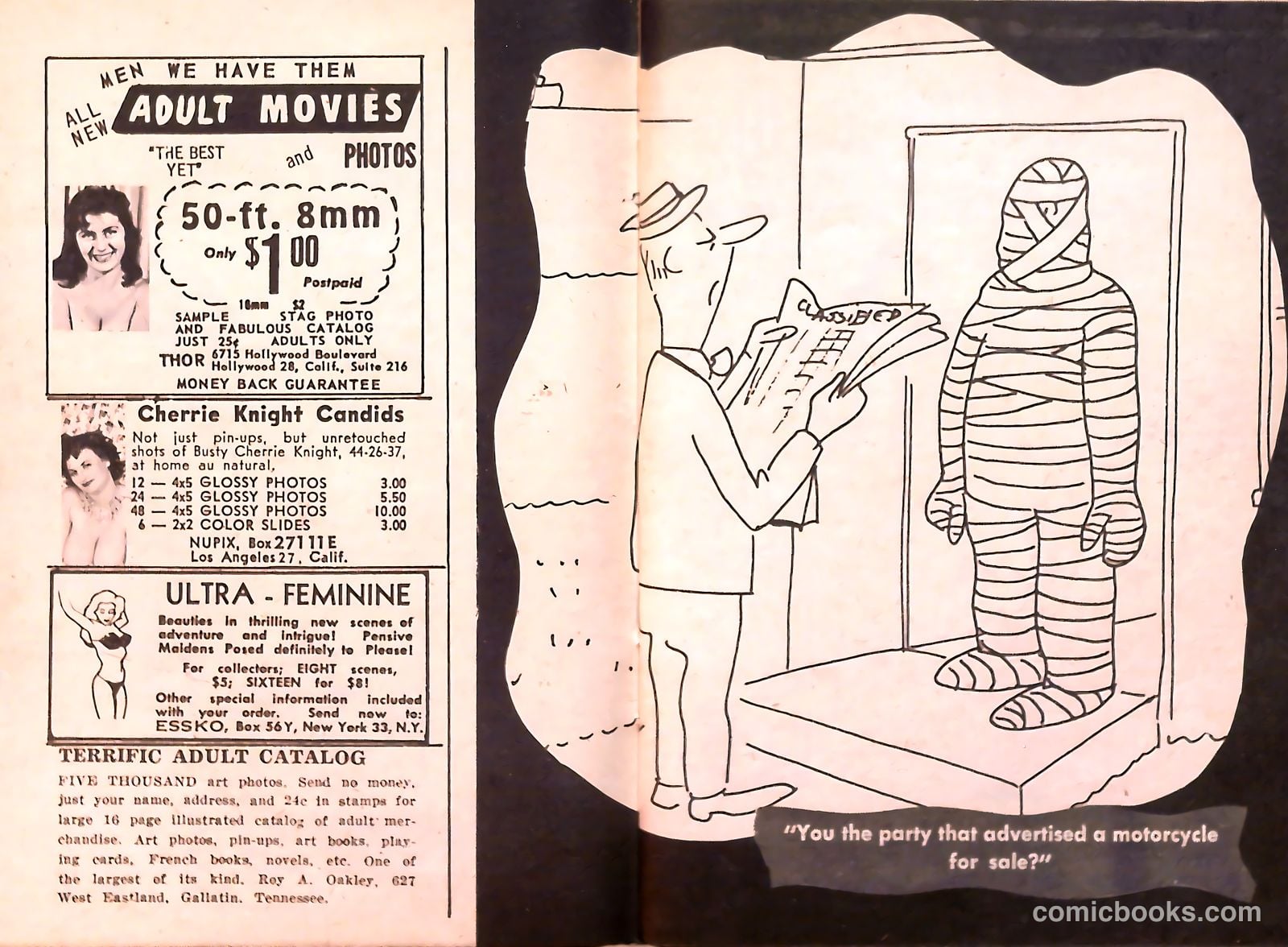 TV Girls and Gags #6 — page 18 of 51