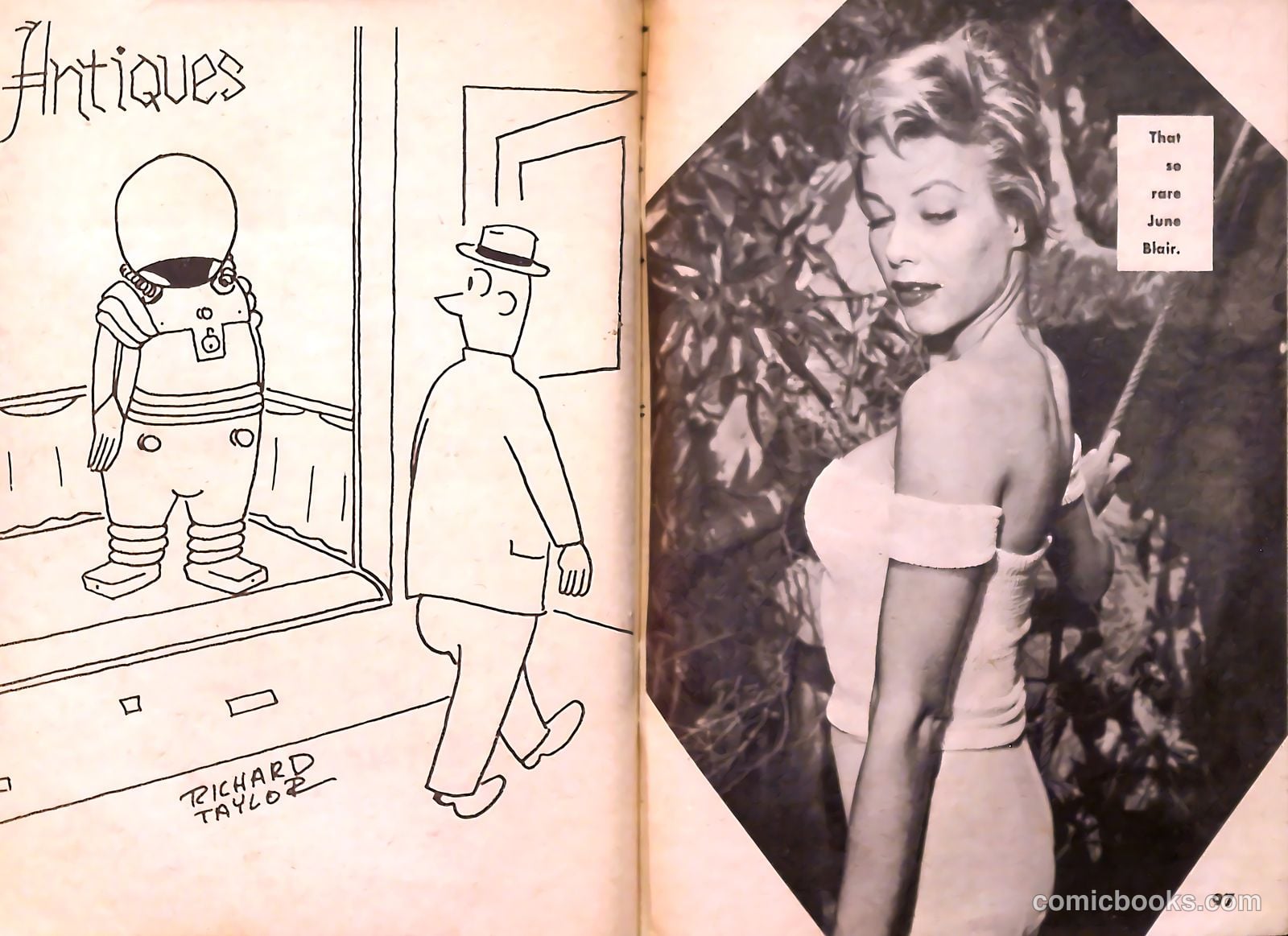 TV Girls and Gags #6 — page 49 of 51