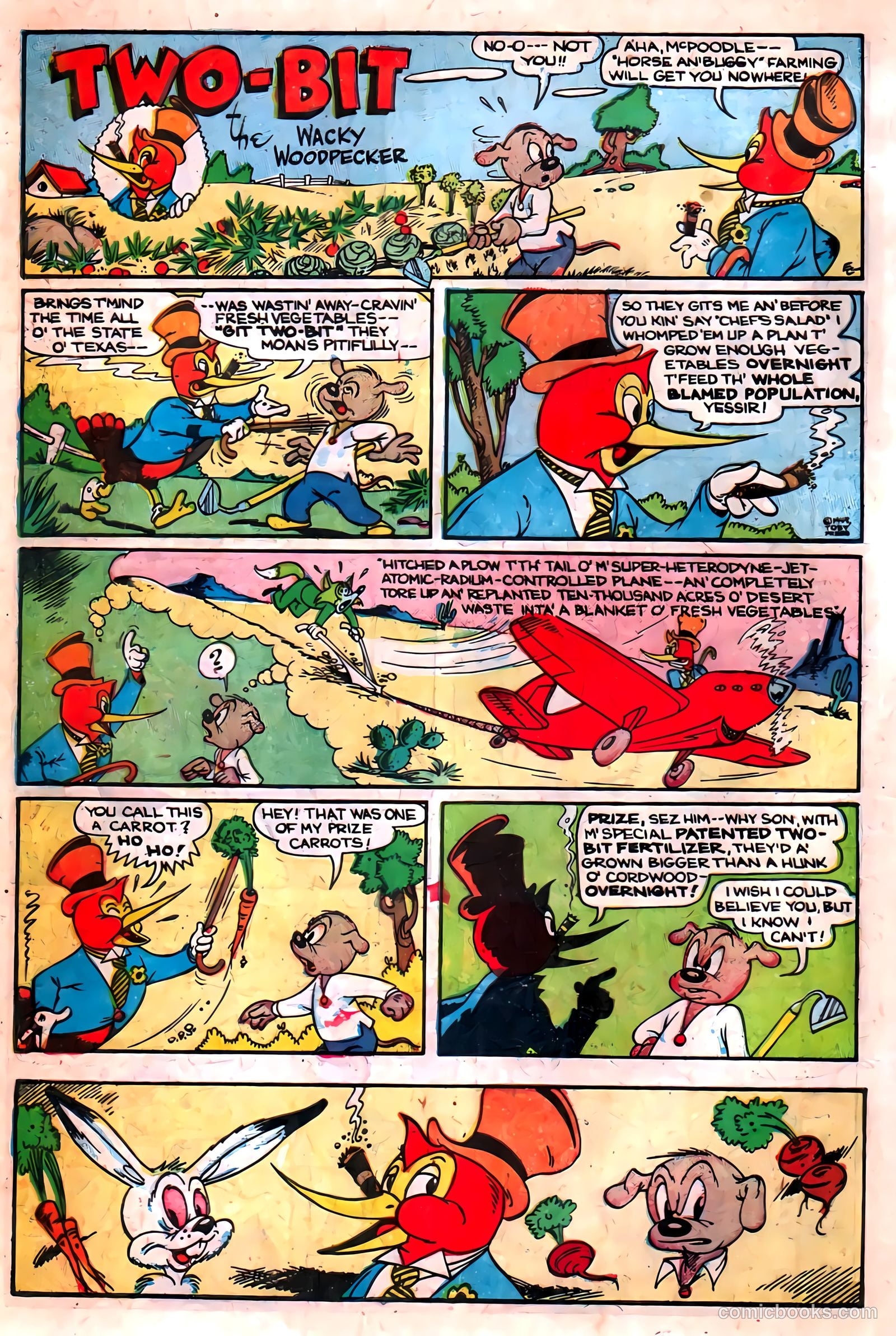 Two-Bit the Wacky Woodpecker #1 — page 8 of 36