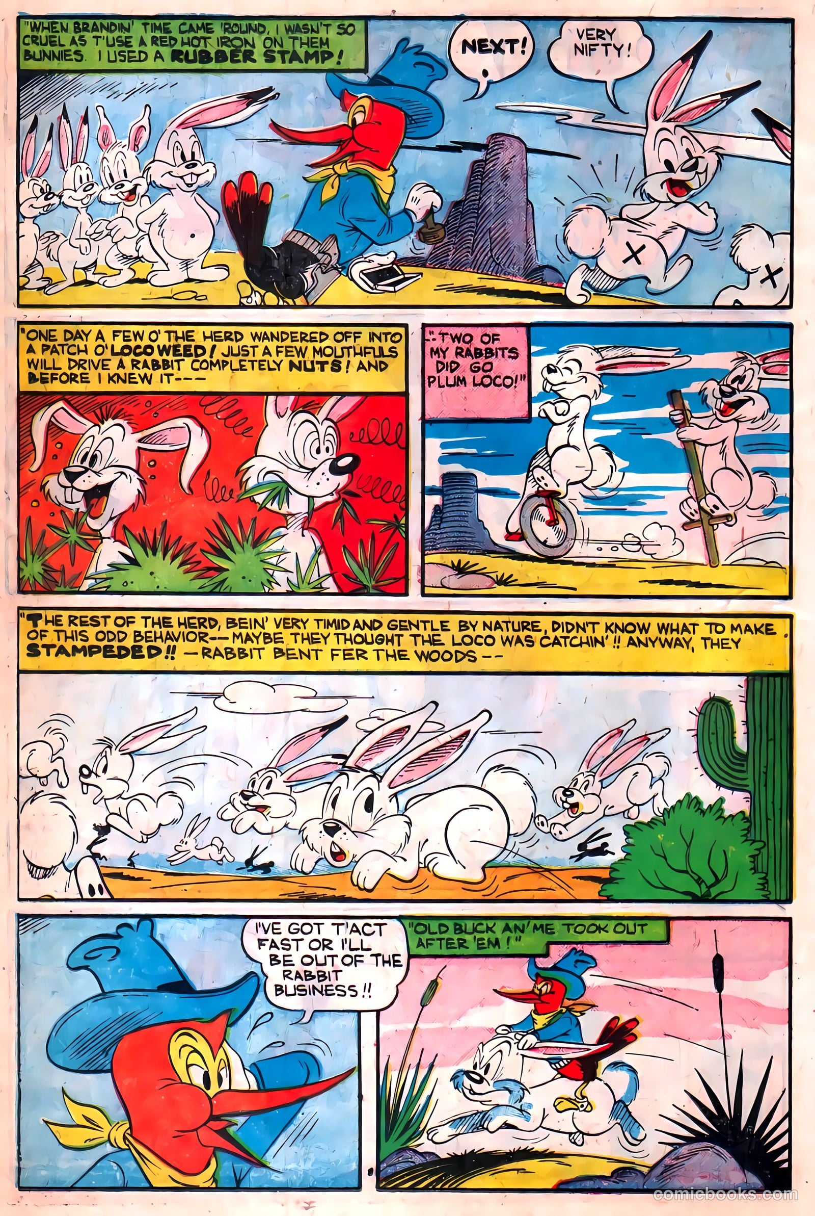 Two-Bit the Wacky Woodpecker #1 — page 24 of 36