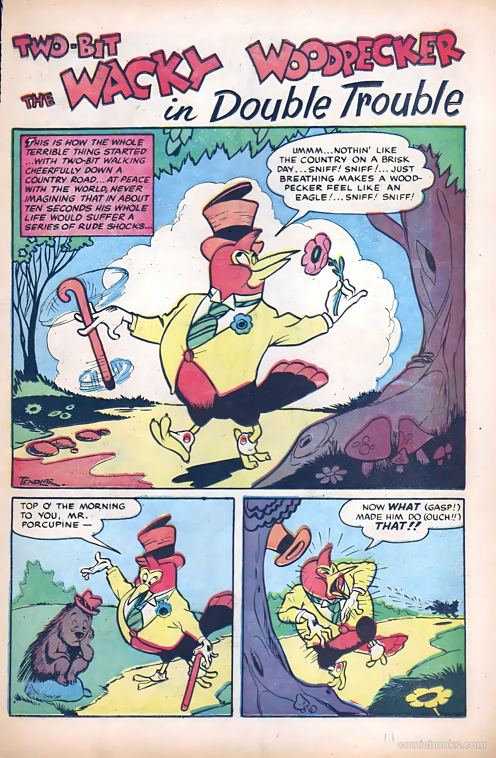 Two-Bit the Wacky Woodpecker #2 — page 11 of 36