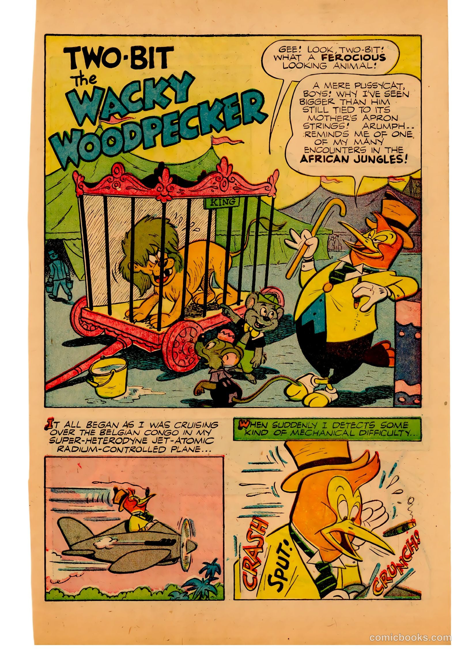 Two-Bit the Wacky Woodpecker #3 — page 3 of 36