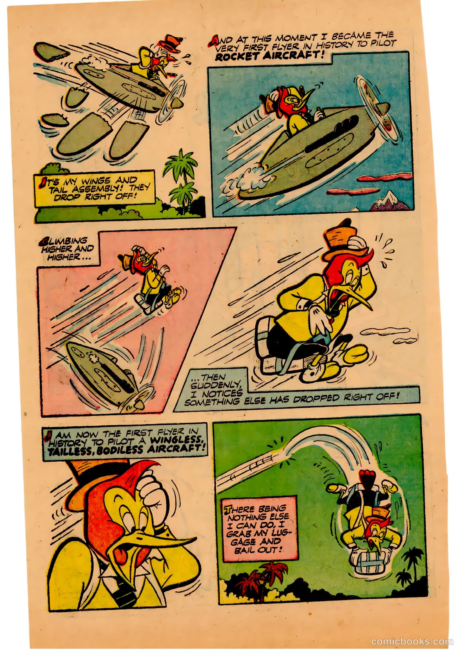 Two-Bit the Wacky Woodpecker #3 — page 4 of 36