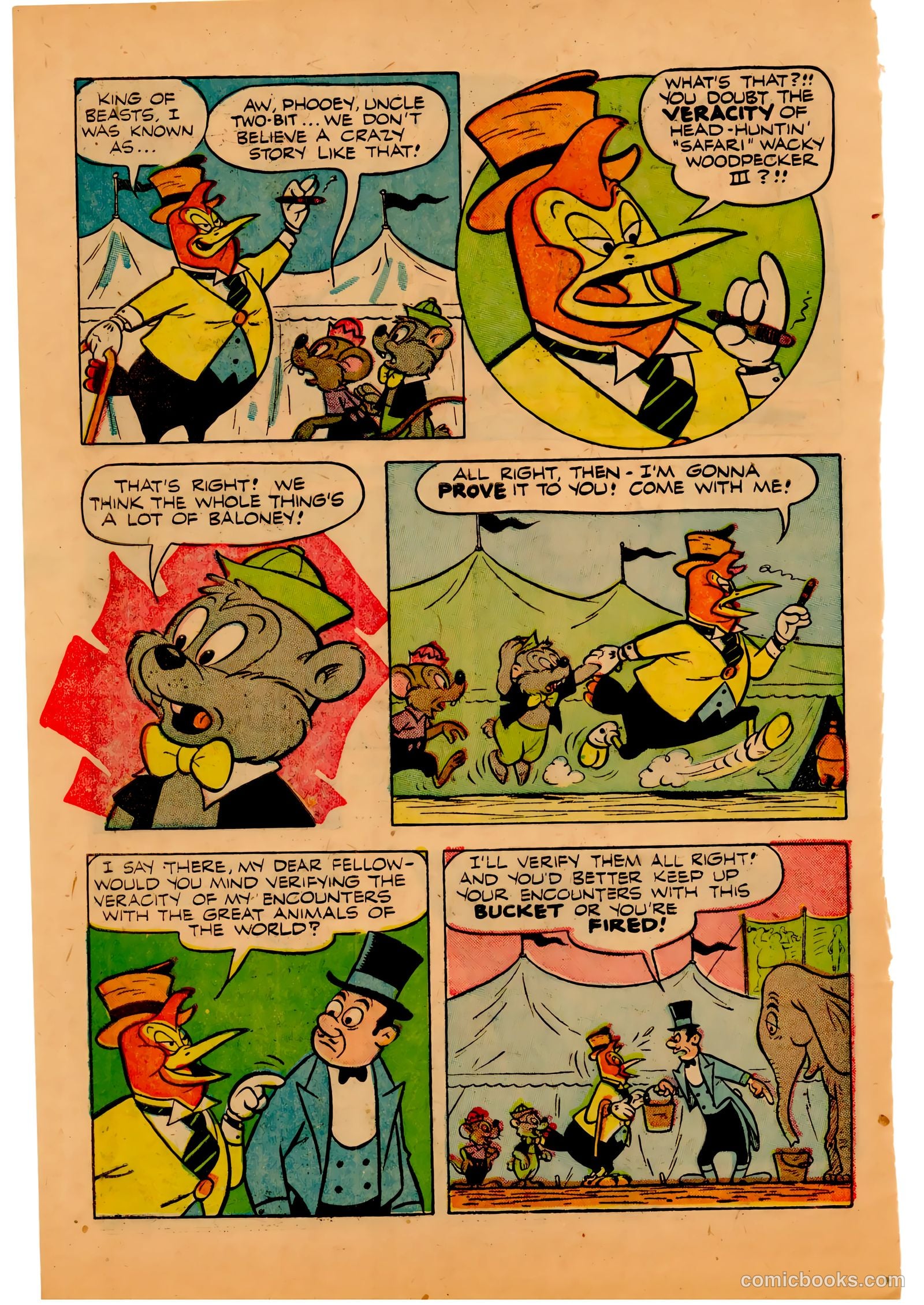 Two-Bit the Wacky Woodpecker #3 — page 10 of 36