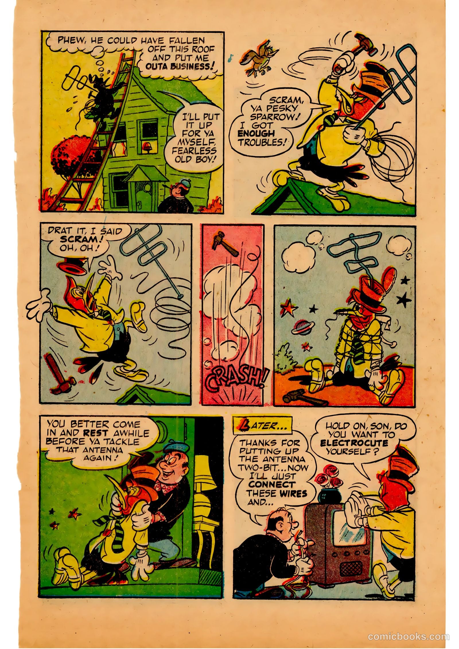 Two-Bit the Wacky Woodpecker #3 — page 13 of 36