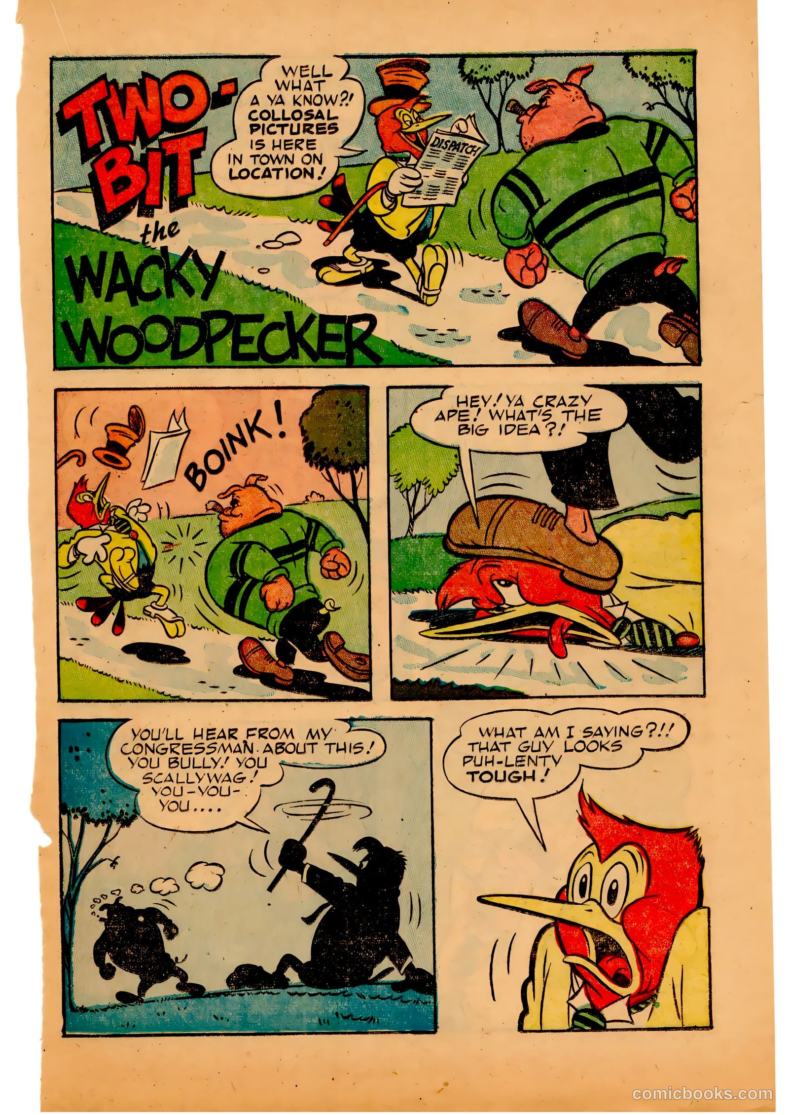 Two-Bit the Wacky Woodpecker #3 — page 21 of 36