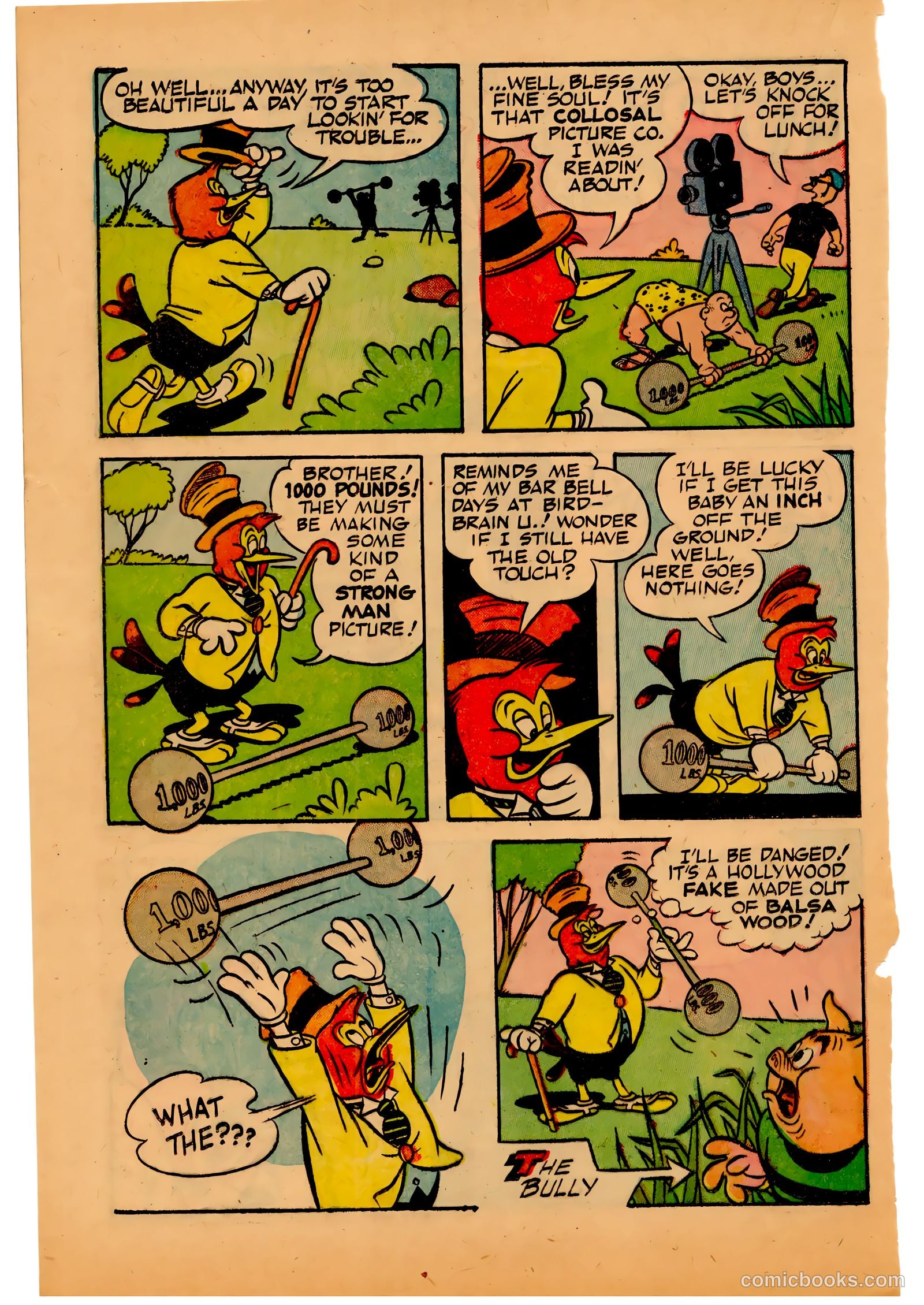 Two-Bit the Wacky Woodpecker #3 — page 22 of 36