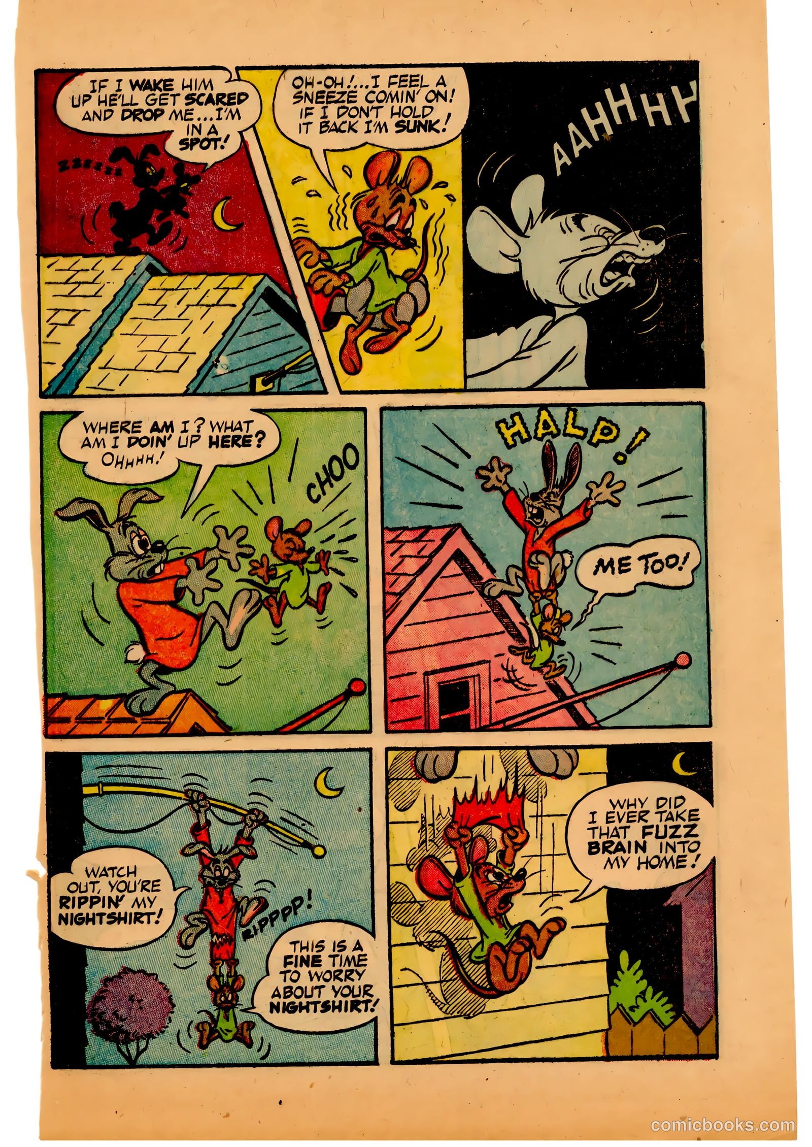 Two-Bit the Wacky Woodpecker #3 — page 31 of 36