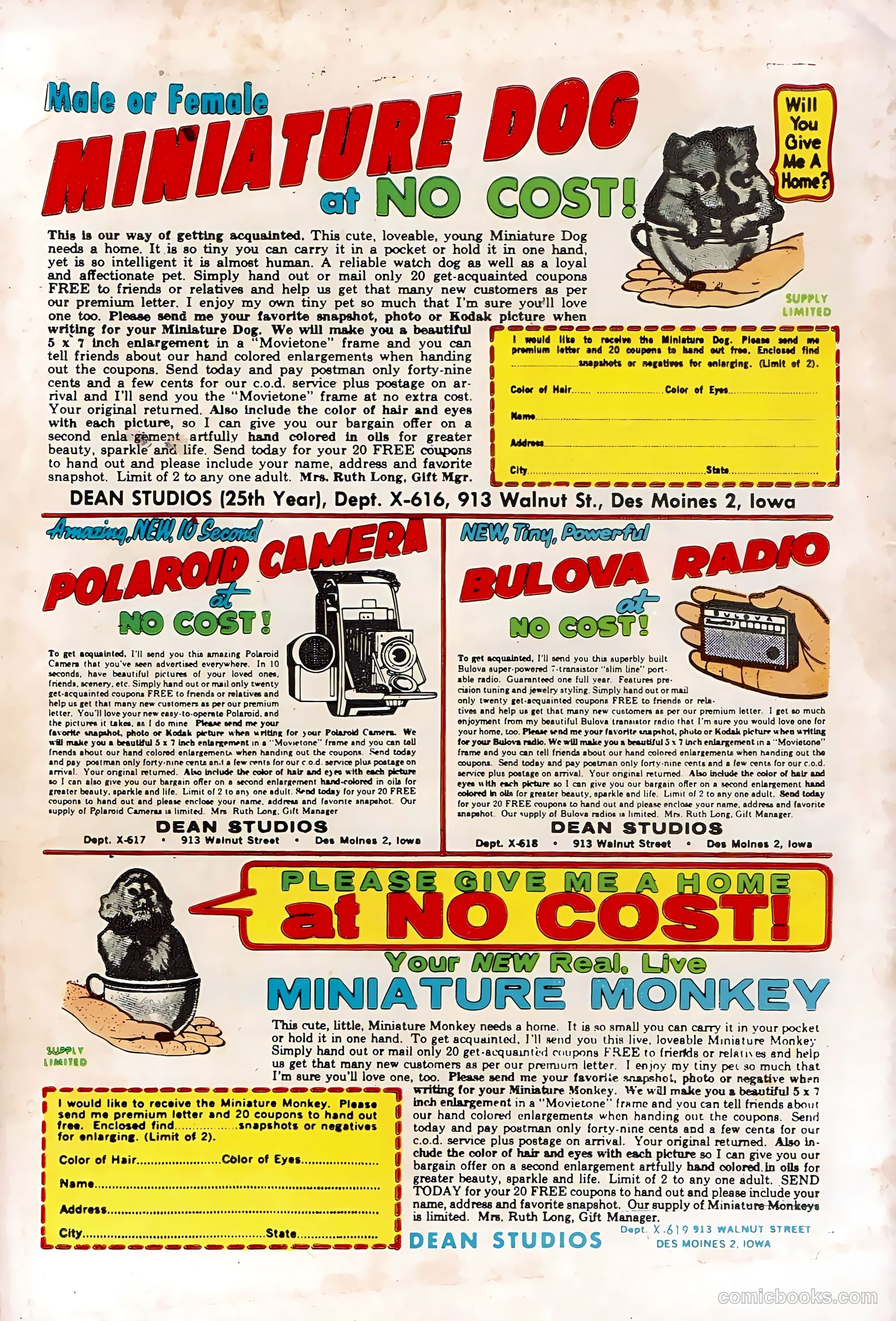 U.S. Air Force Comics #28 — page 36 of 36