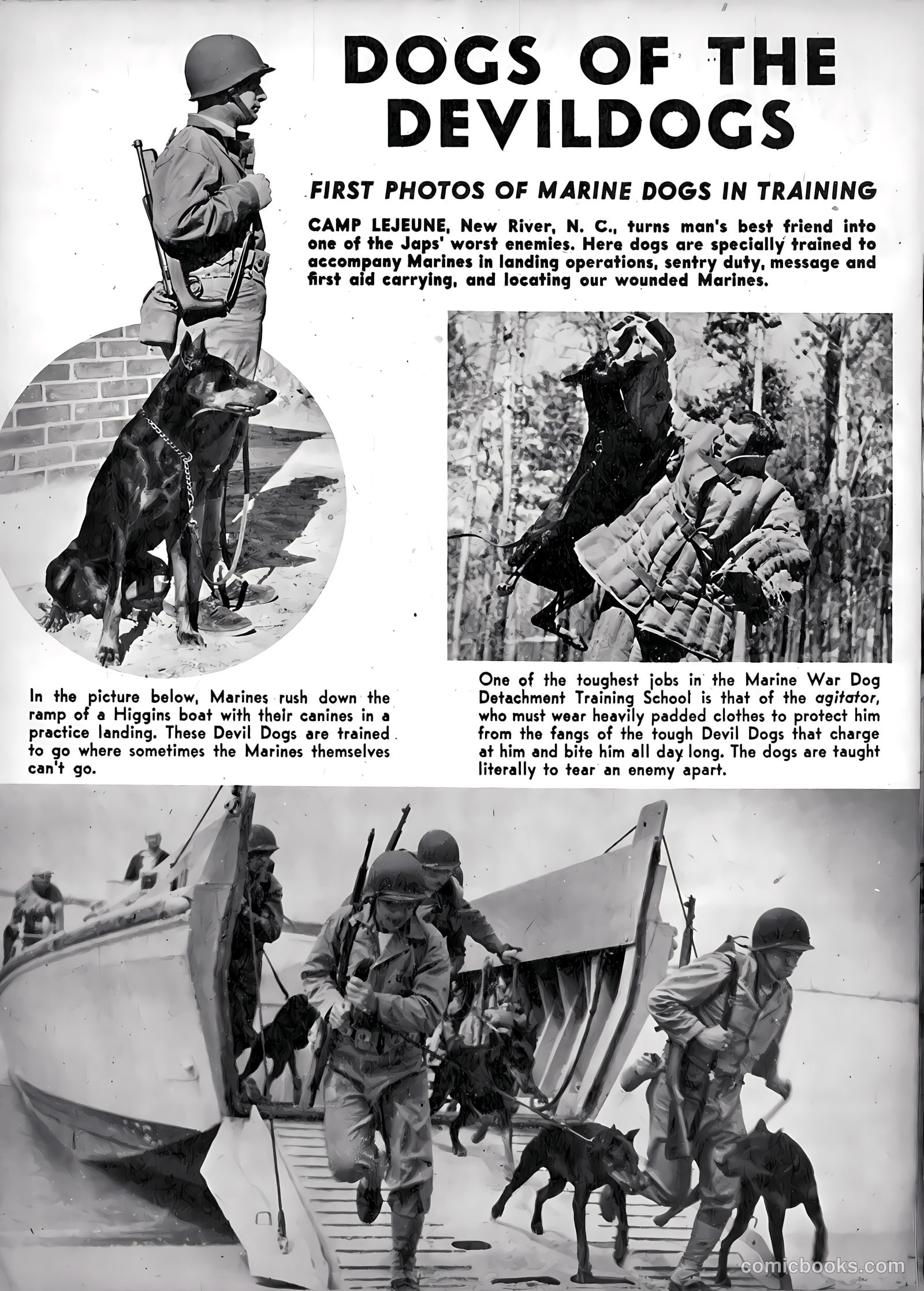 U.S. Marines in Action #2 — page 22 of 52