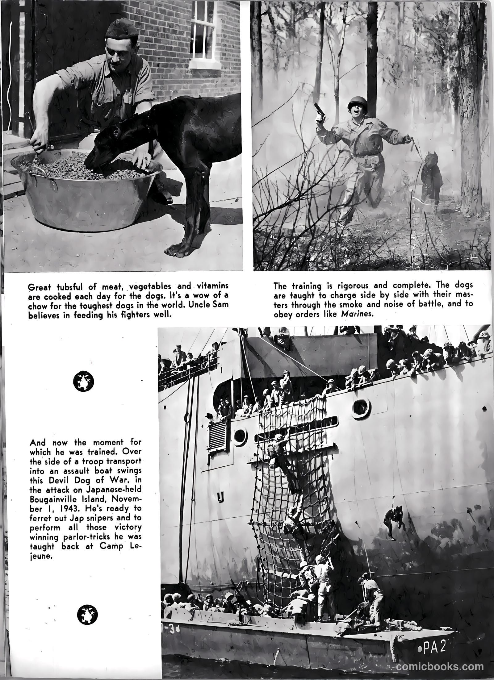 U.S. Marines in Action #2 — page 23 of 52