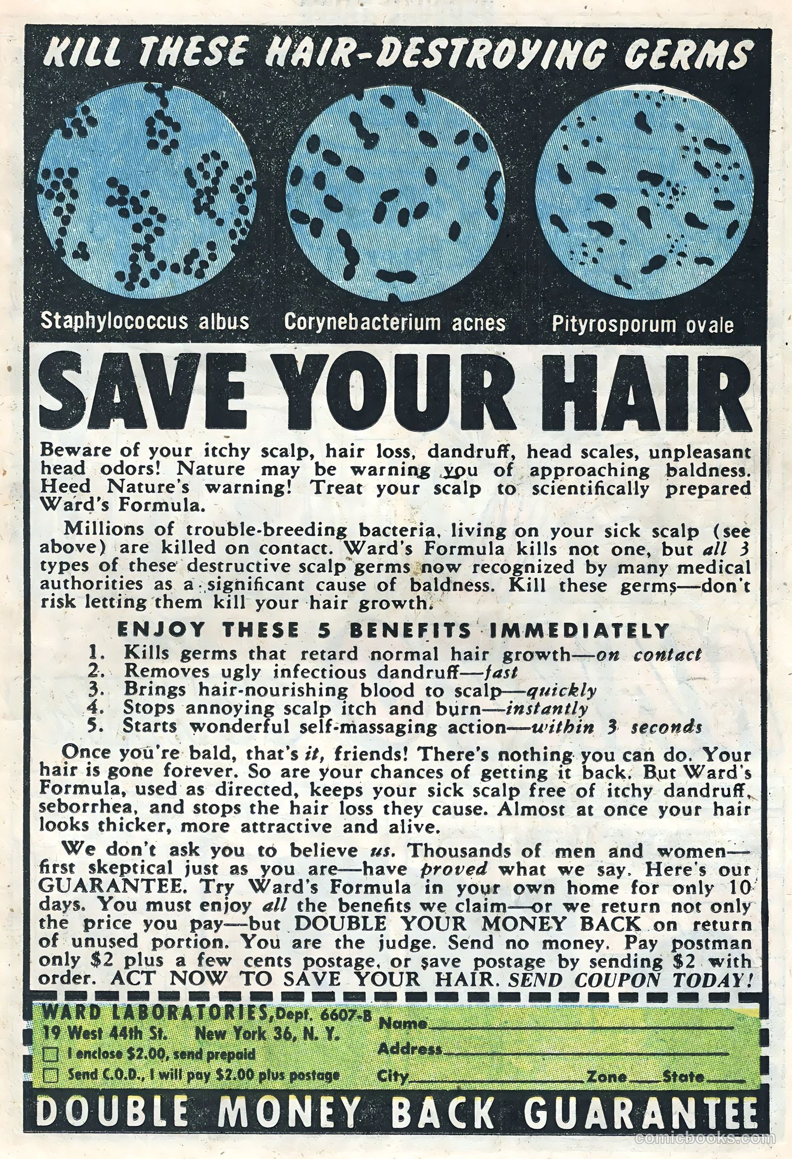 Unusual Tales #1 — page 15 of 36