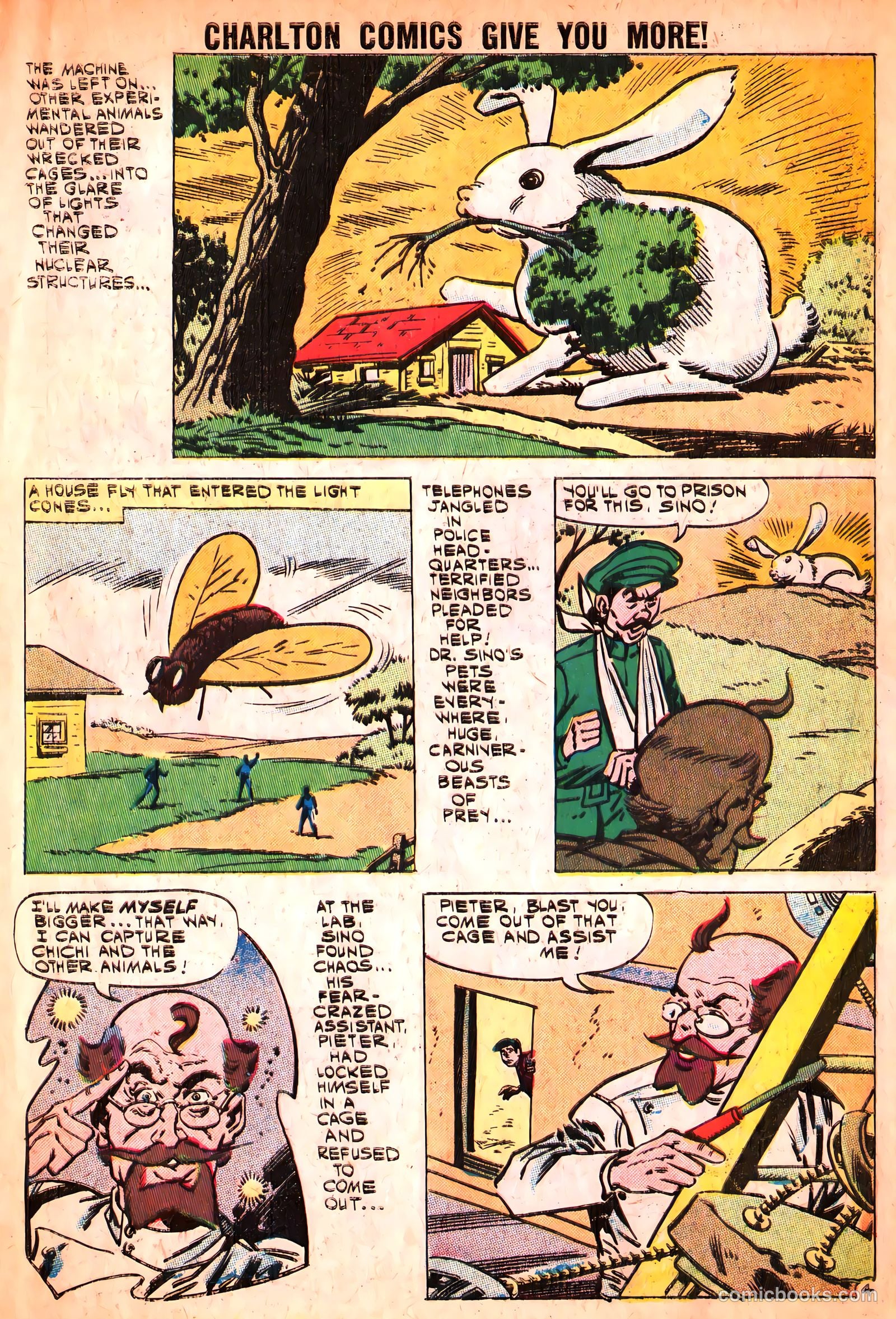 Unusual Tales #27 — page 7 of 37