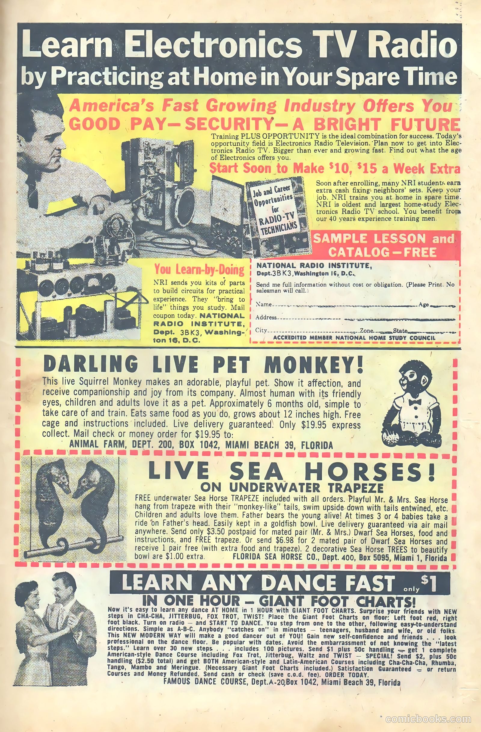 Unusual Tales #40 — page 31 of 36