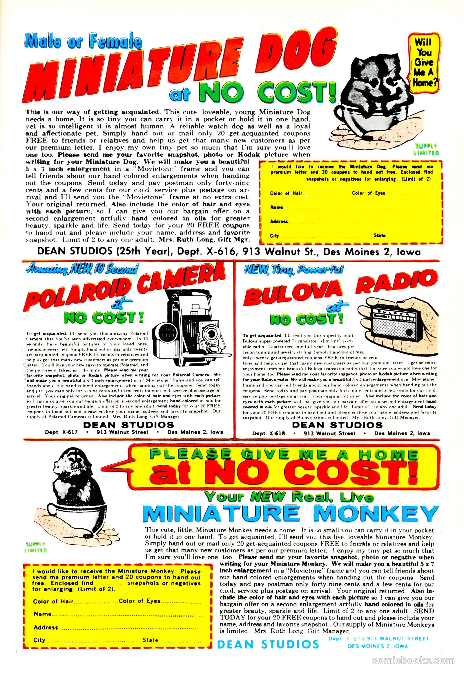 Unusual Tales #41 — page 36 of 36