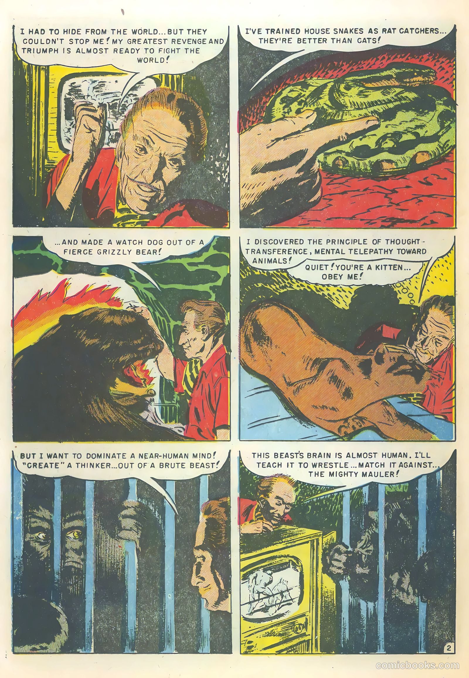 Beware #11 — page 13 of 37