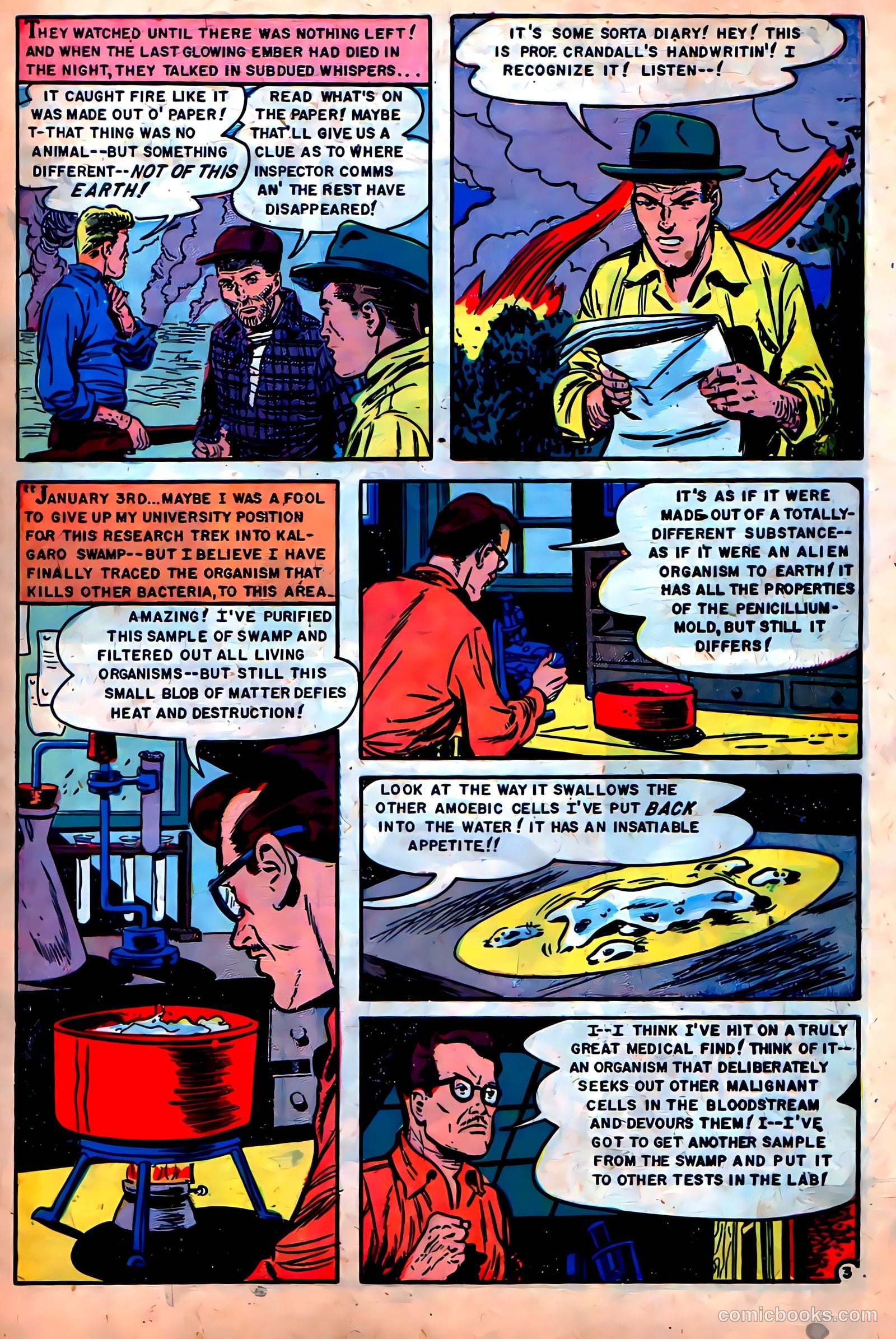 Beware #3 — page 5 of 36