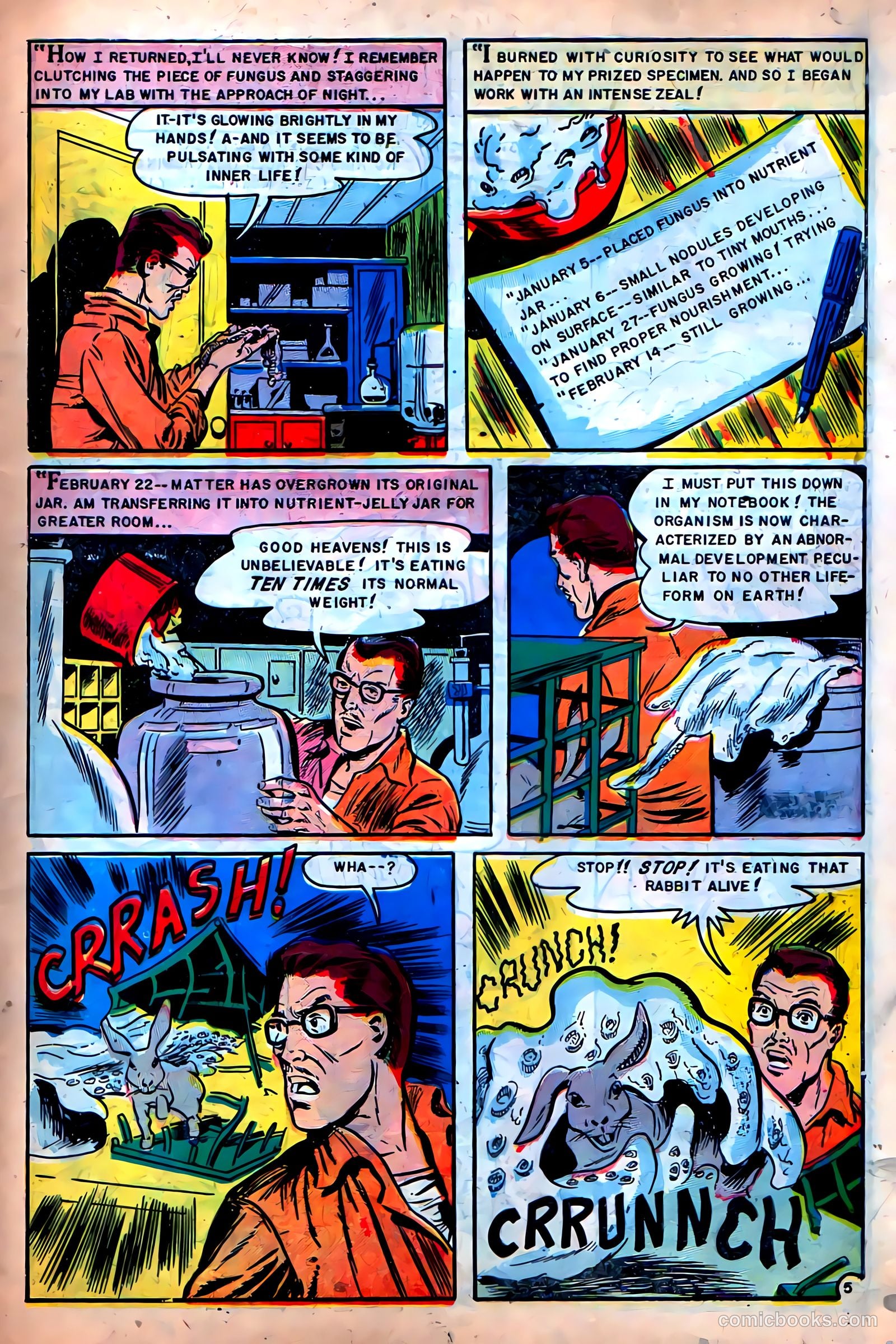 Beware #3 — page 7 of 36