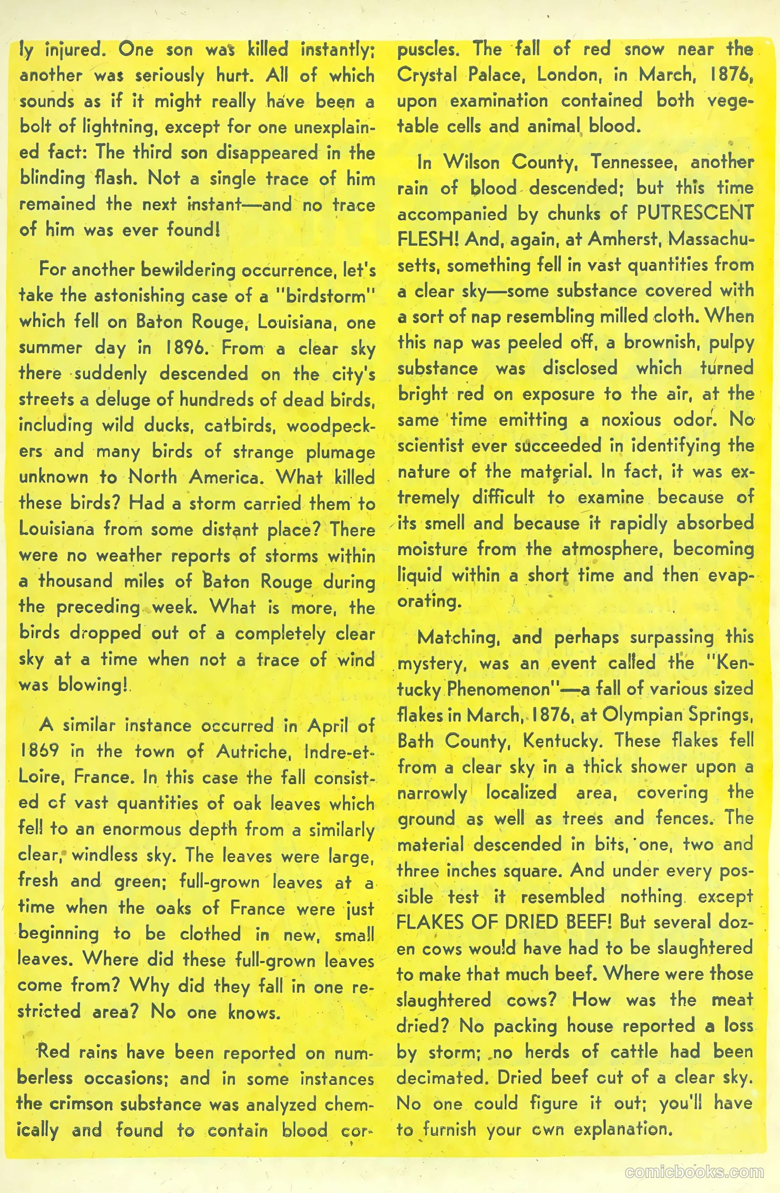 Beware #5 — page 27 of 36