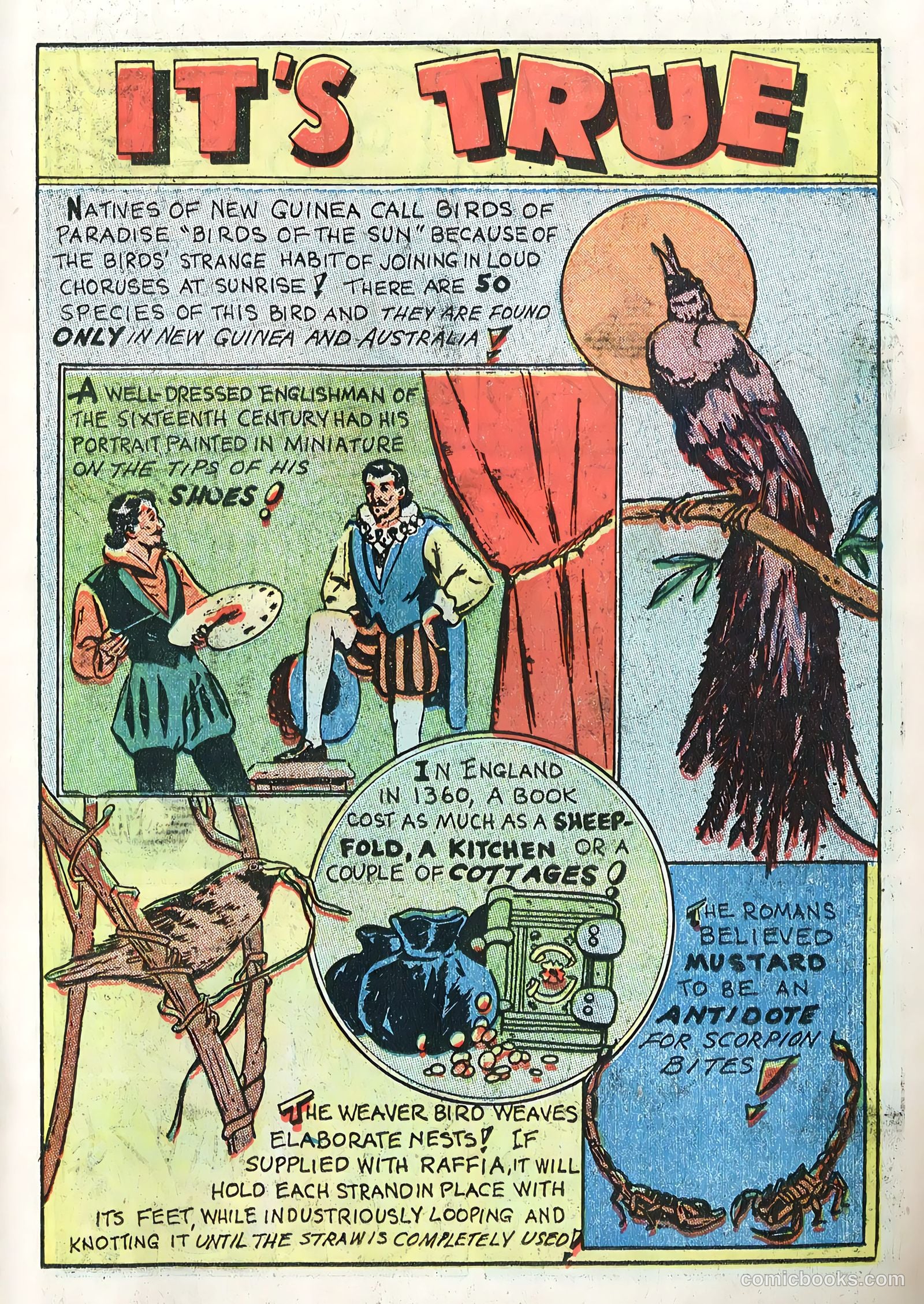 Variety Comics #3 — page 23 of 52