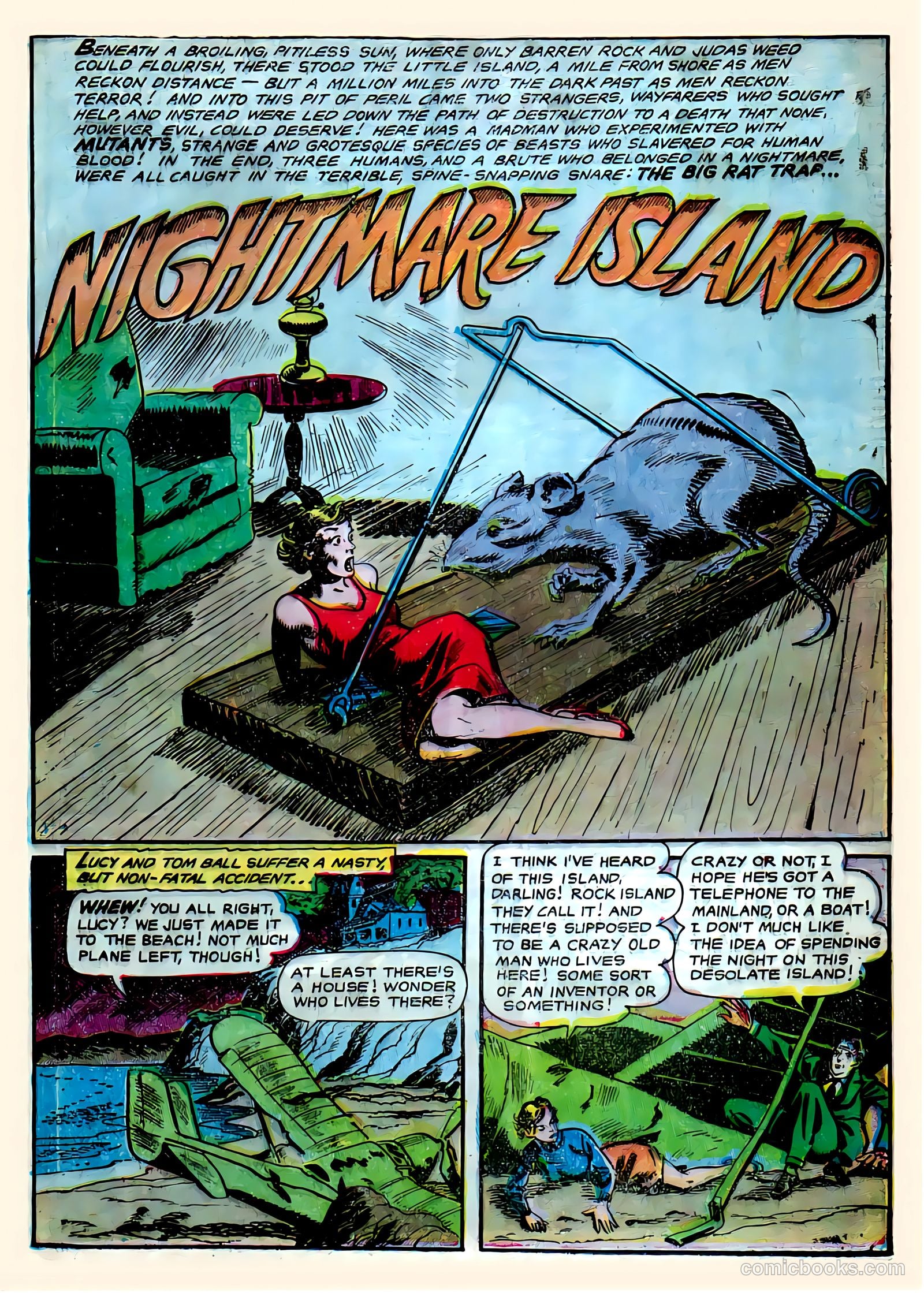 Voodoo #15 — page 8 of 23