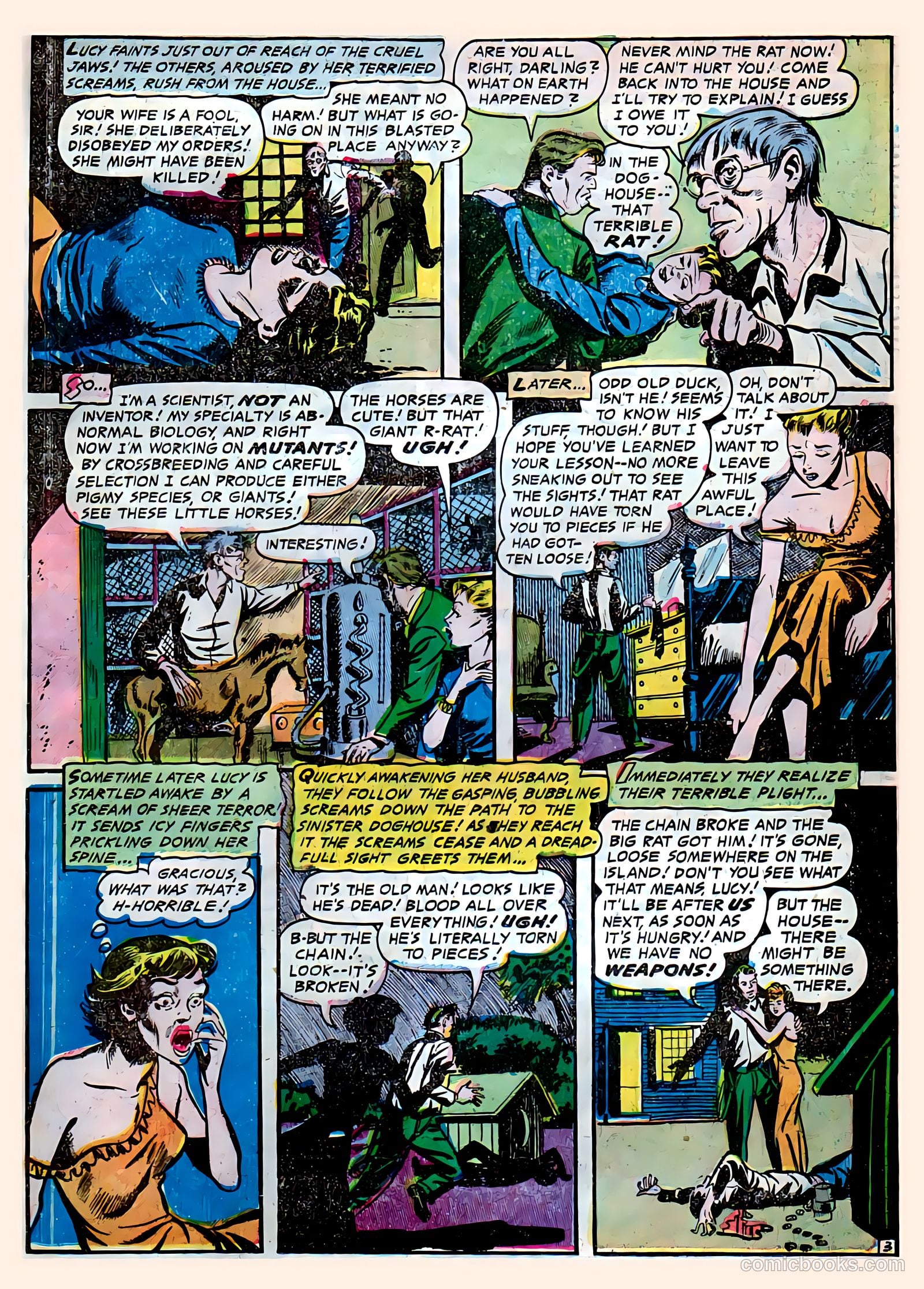 Voodoo #15 — page 10 of 23