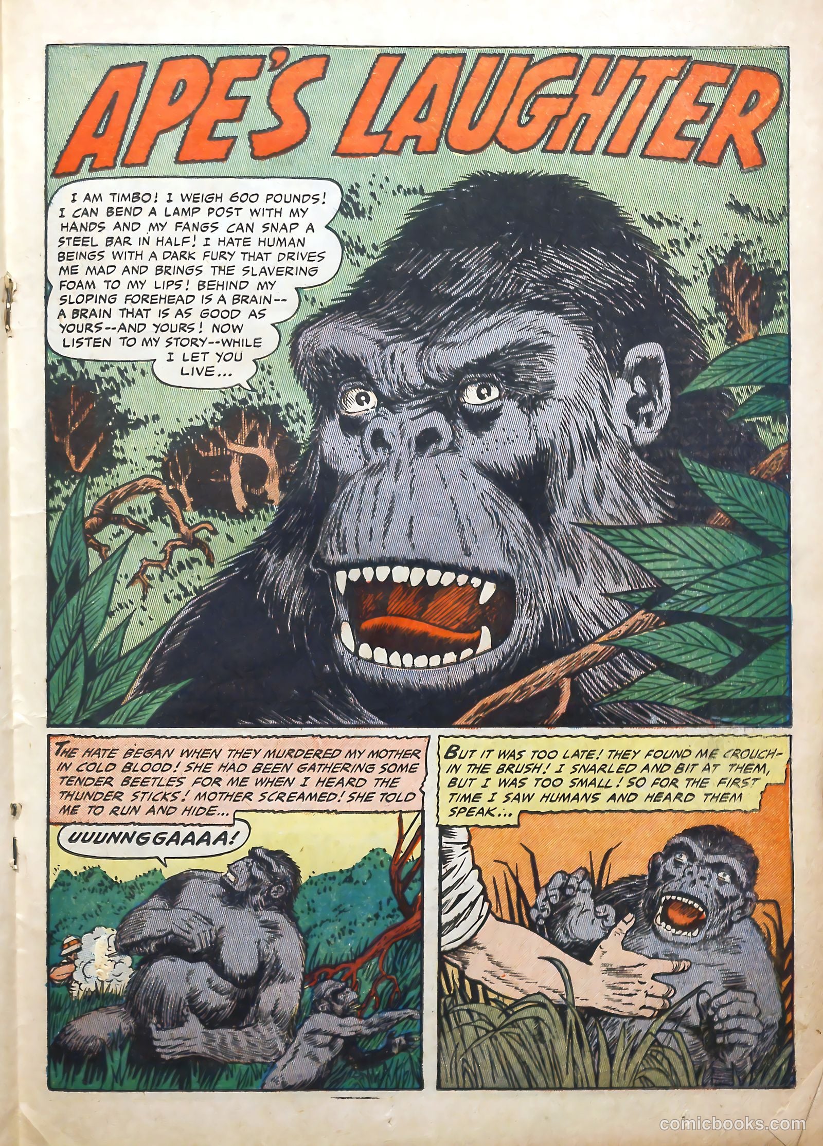 Voodoo #17 — page 19 of 36