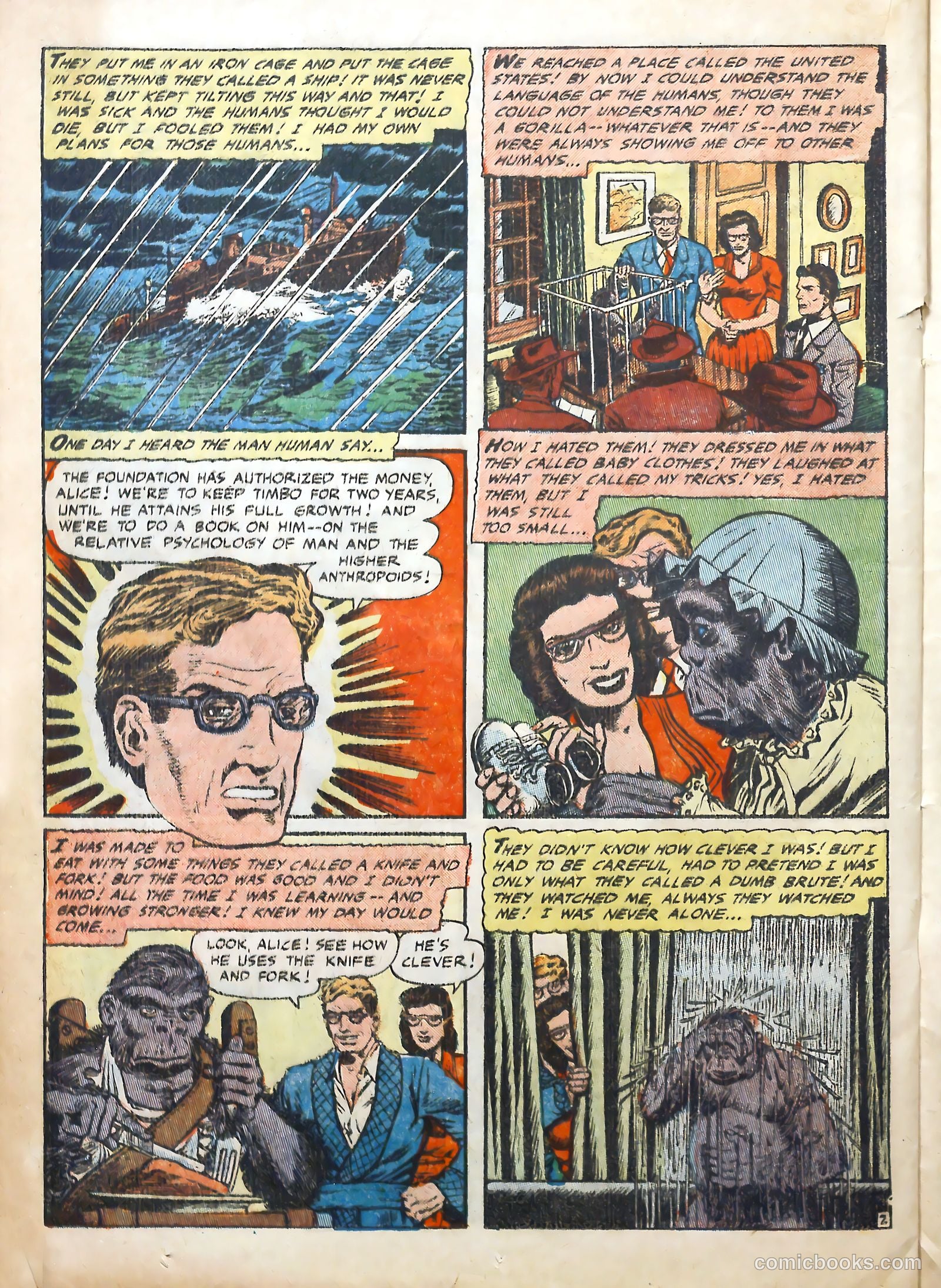 Voodoo #17 — page 20 of 36