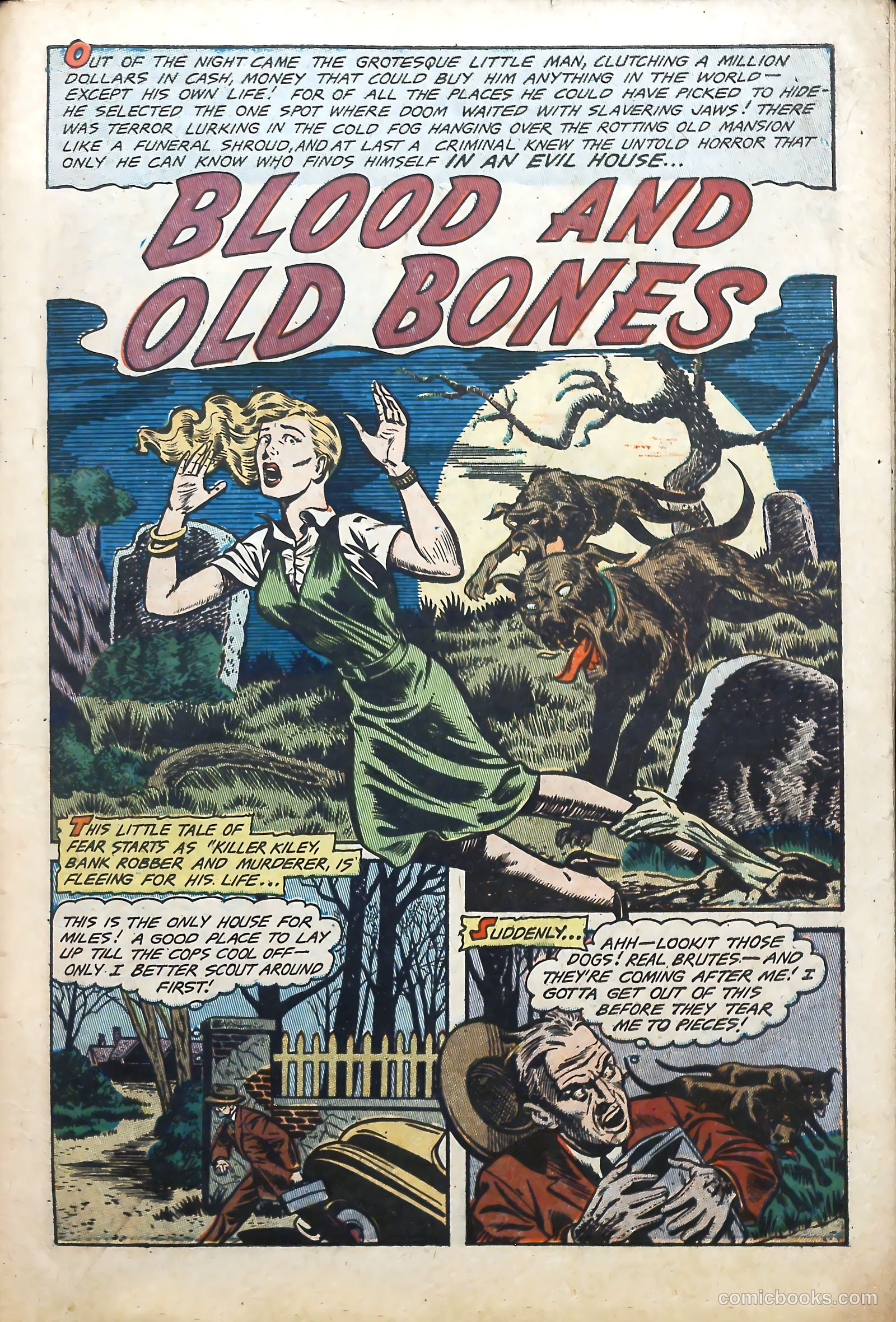 Voodoo #9 — page 3 of 37
