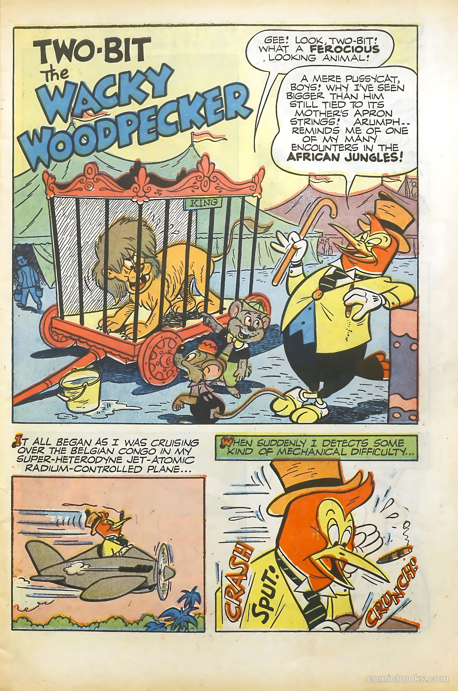 Wacky Woodpecker #10 — page 3 of 36