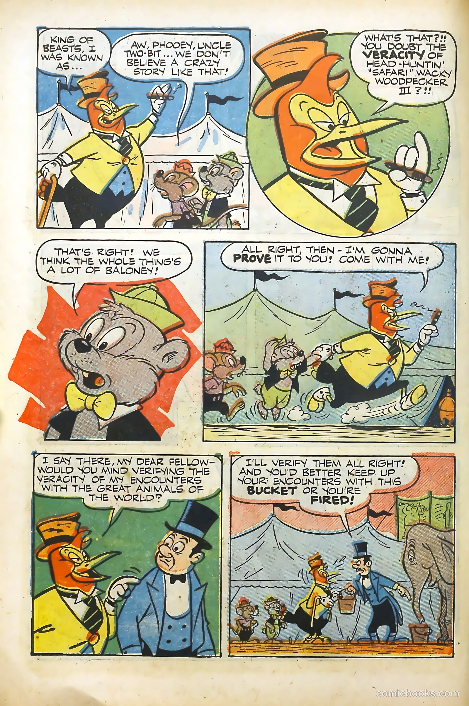 Wacky Woodpecker #10 — page 10 of 36