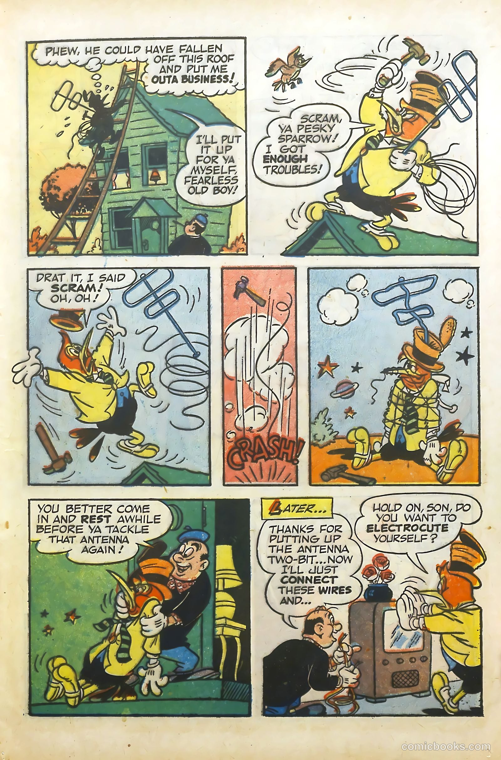 Wacky Woodpecker #10 — page 13 of 36