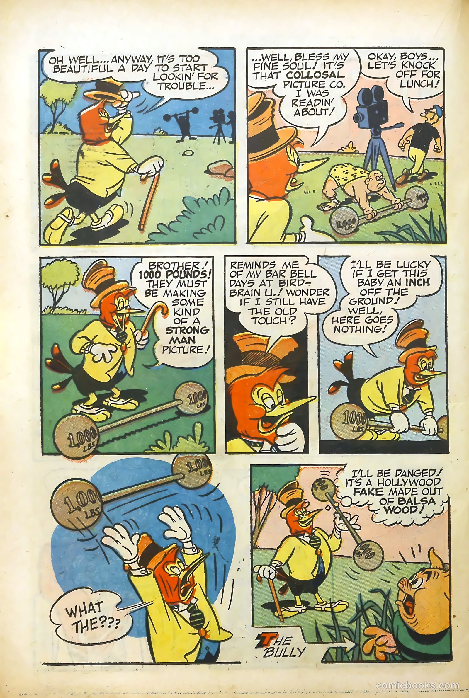 Wacky Woodpecker #10 — page 22 of 36