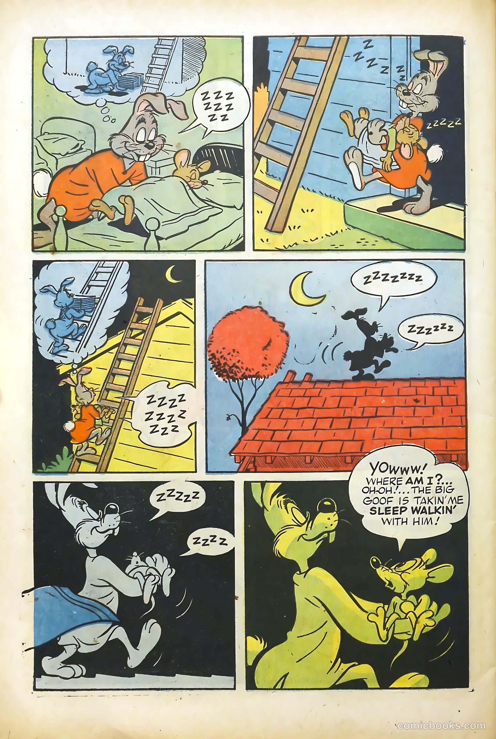 Wacky Woodpecker #10 — page 30 of 36