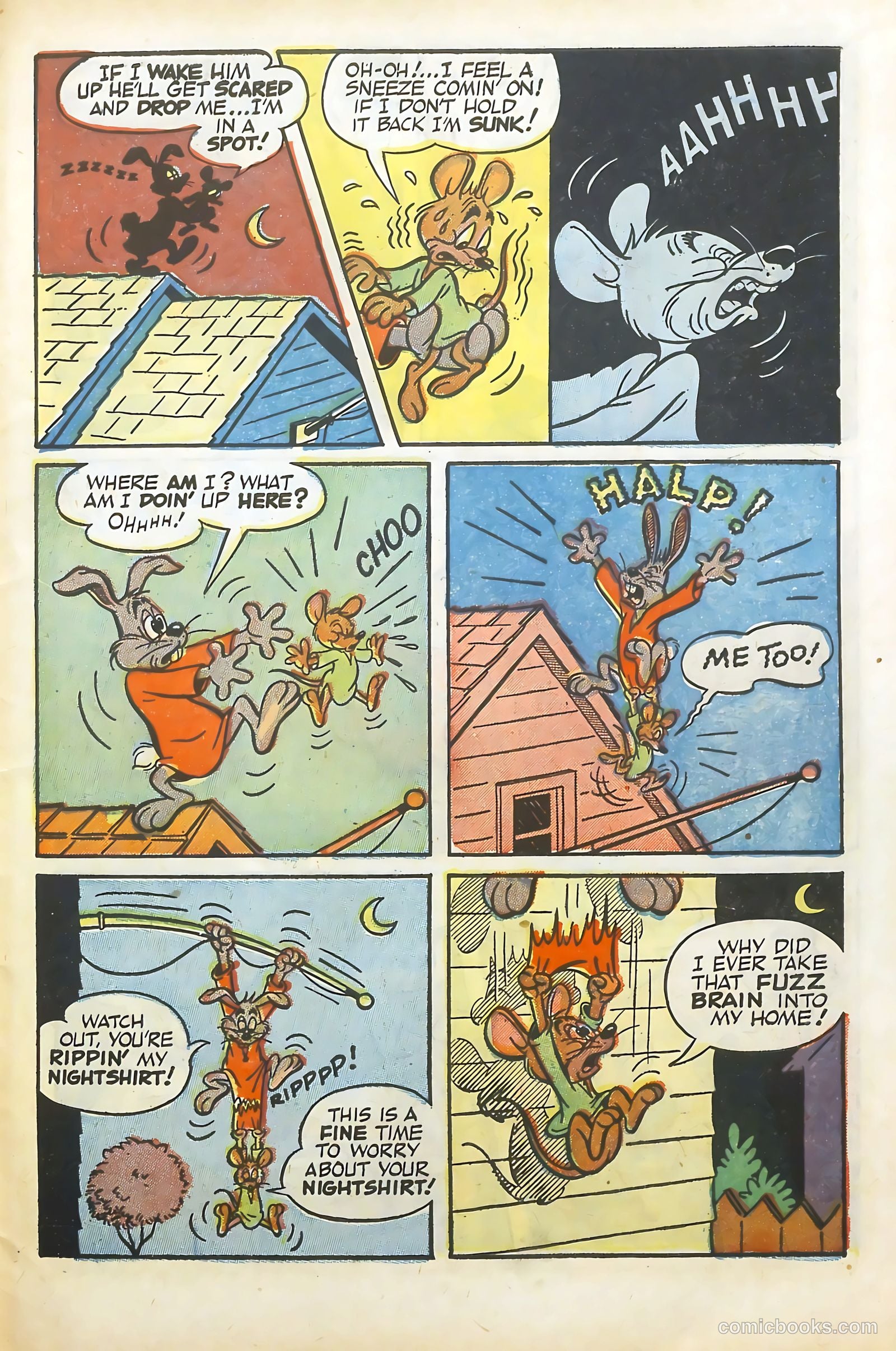 Wacky Woodpecker #10 — page 31 of 36