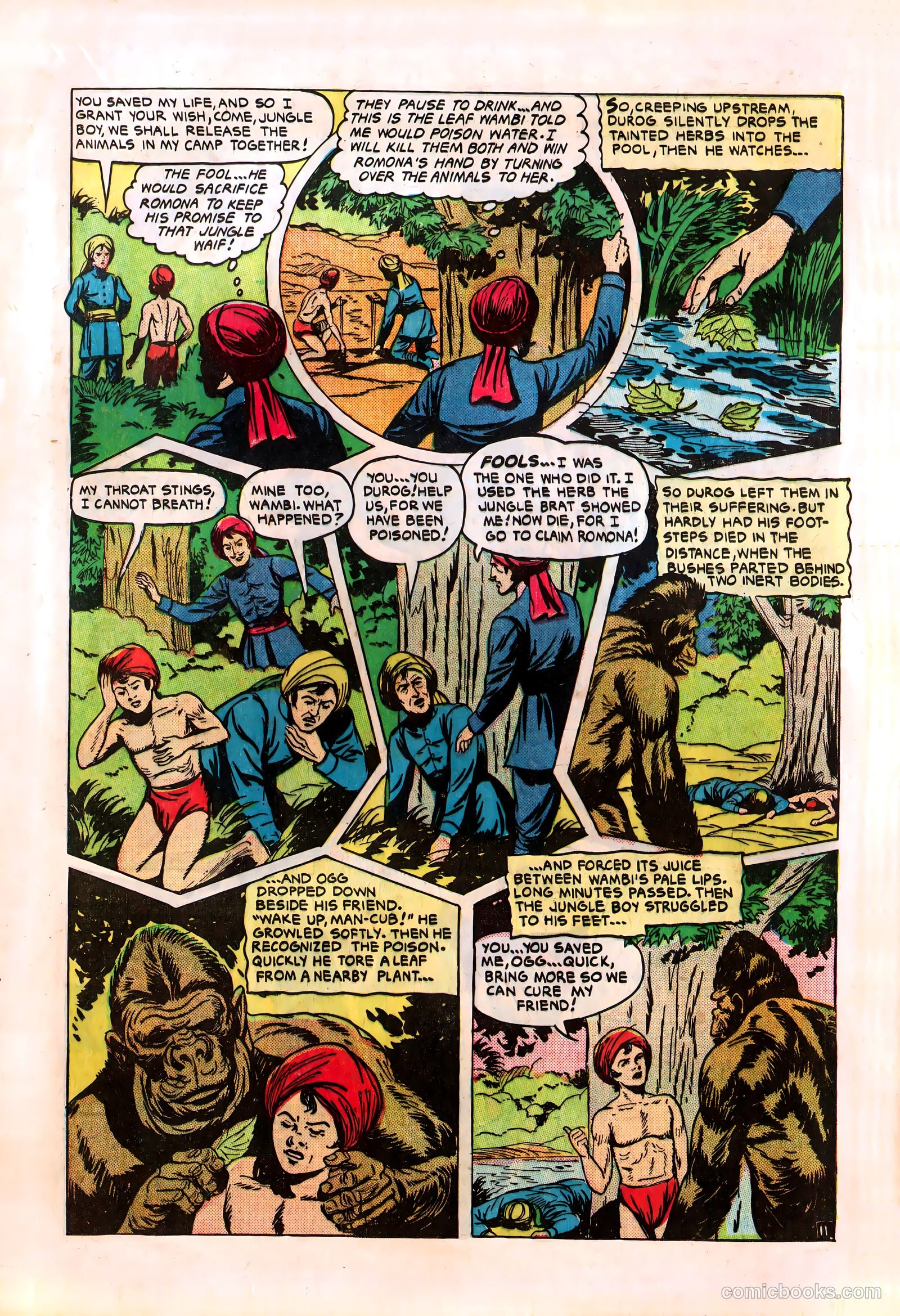 Wambi #8 — page 13 of 36