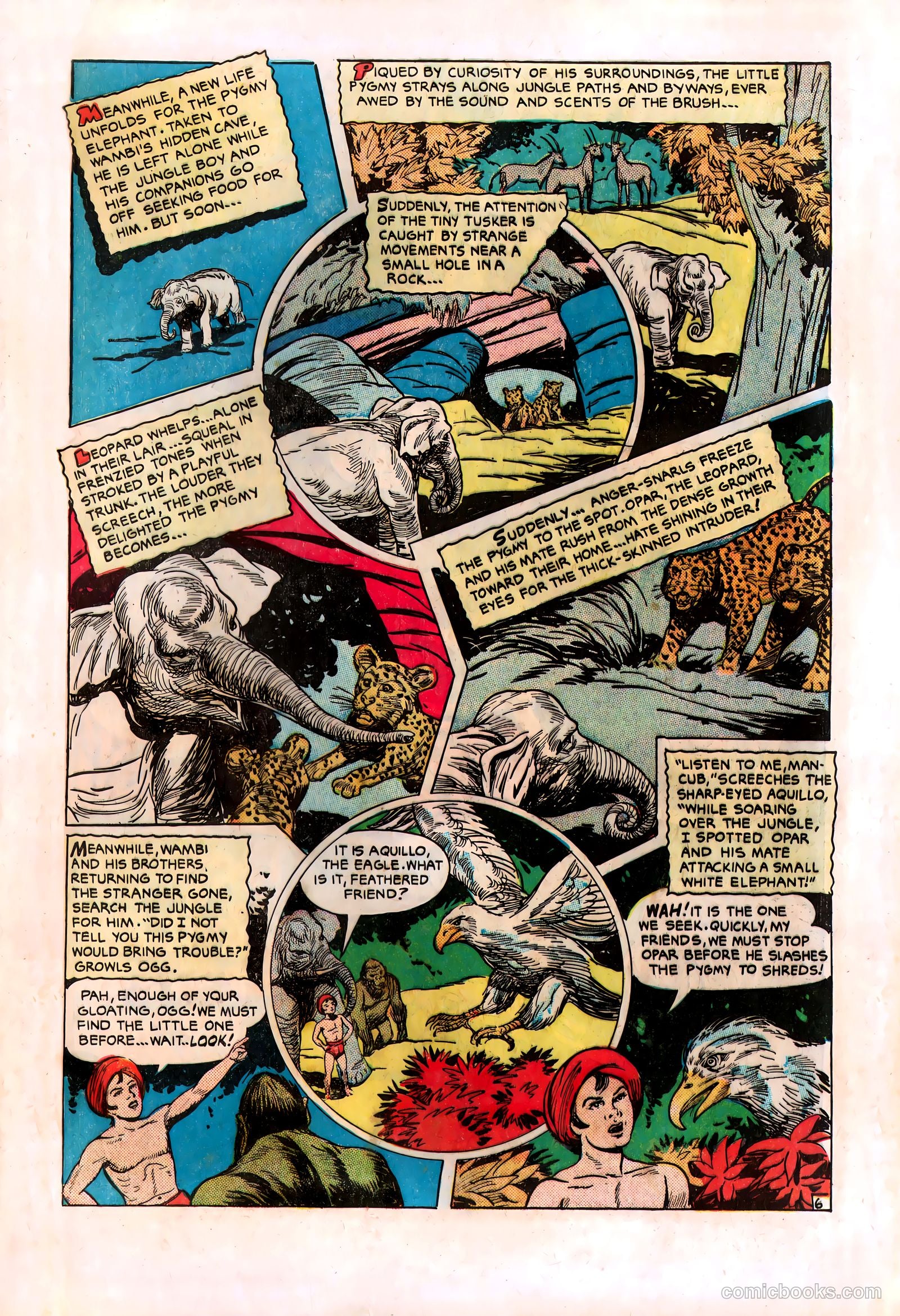 Wambi #8 — page 29 of 36