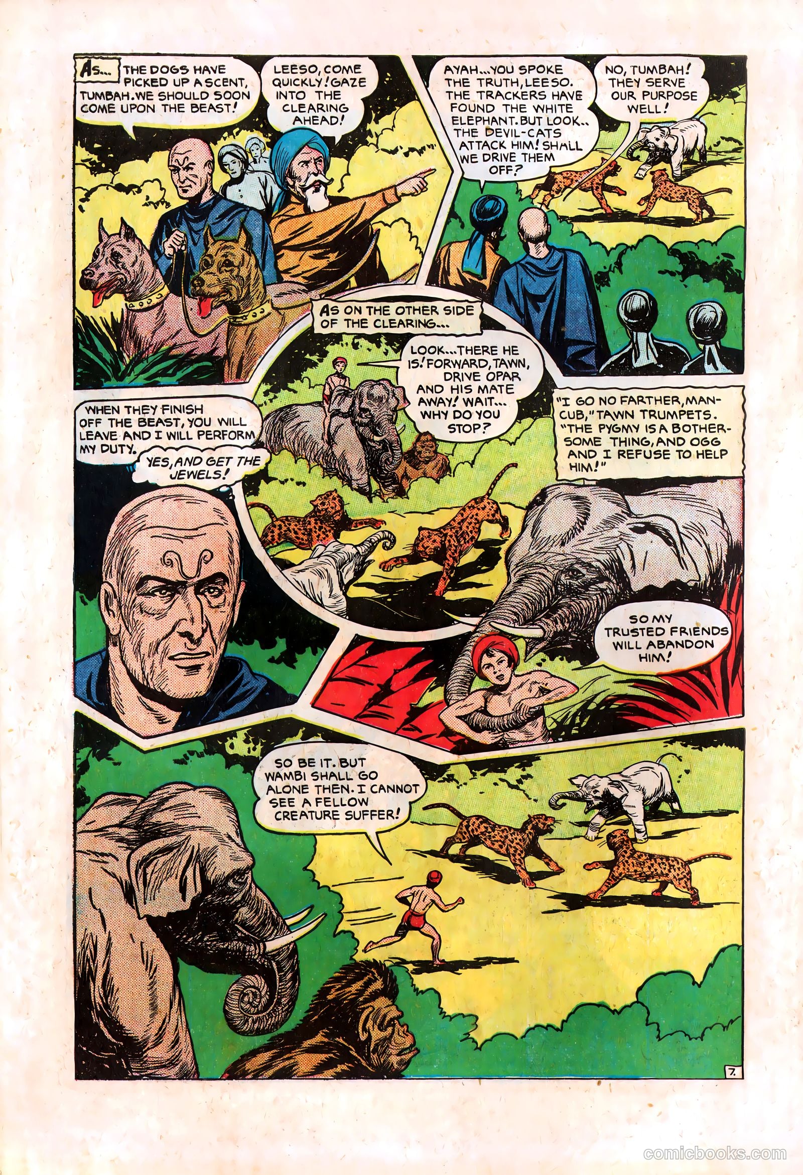 Wambi #8 — page 30 of 36