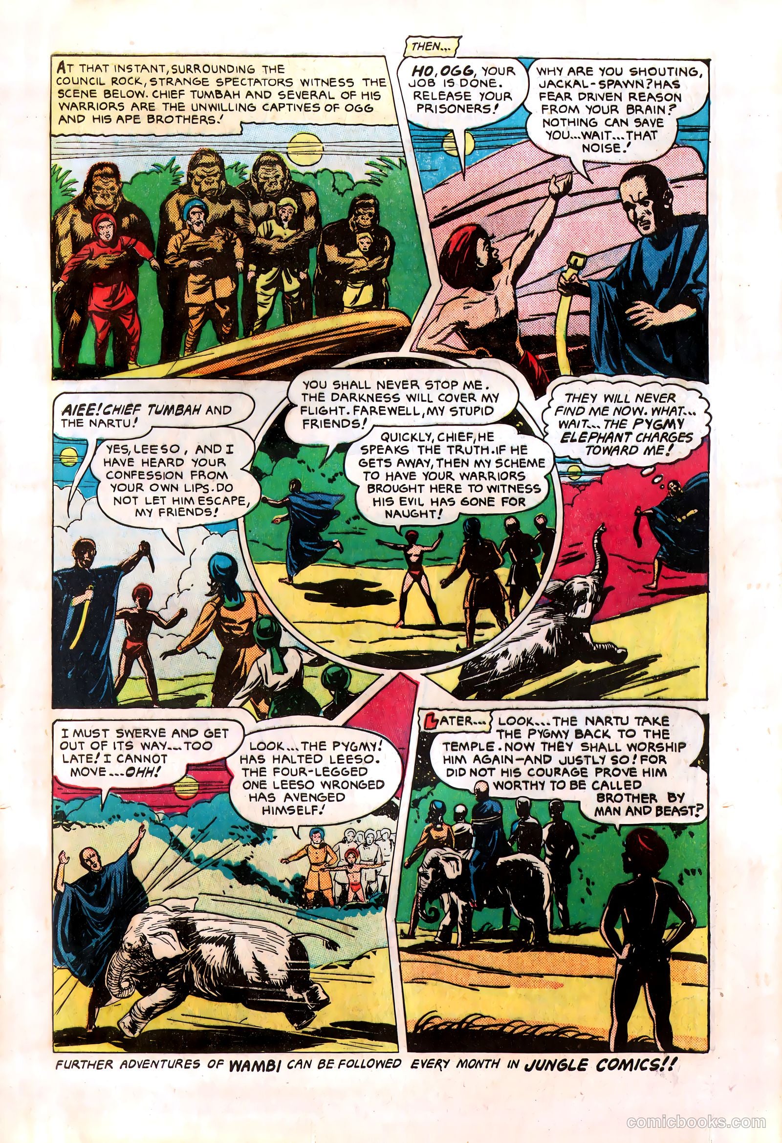 Wambi #8 — page 33 of 36