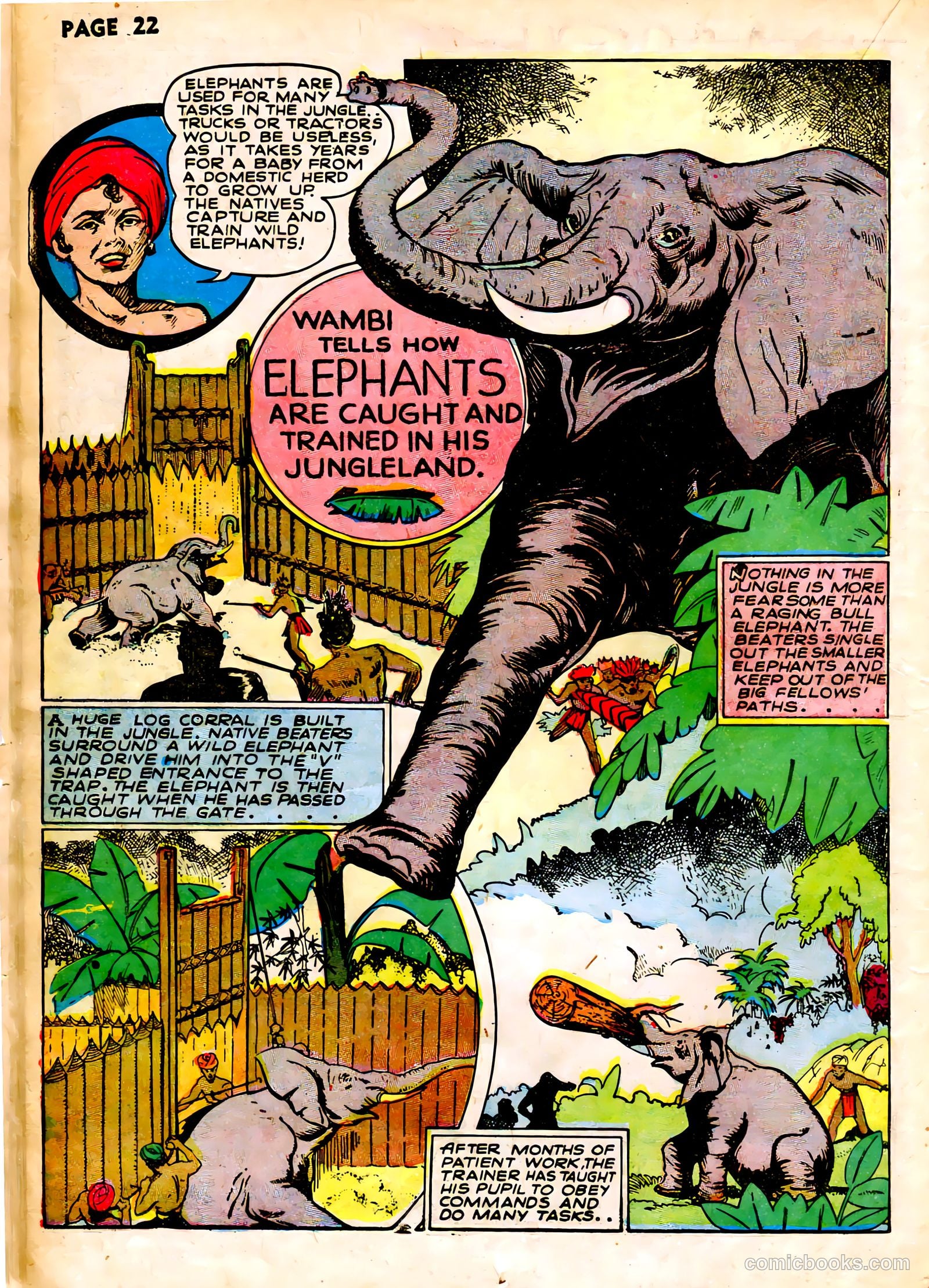 Wambi, Jungle Boy #1 — page 25 of 69