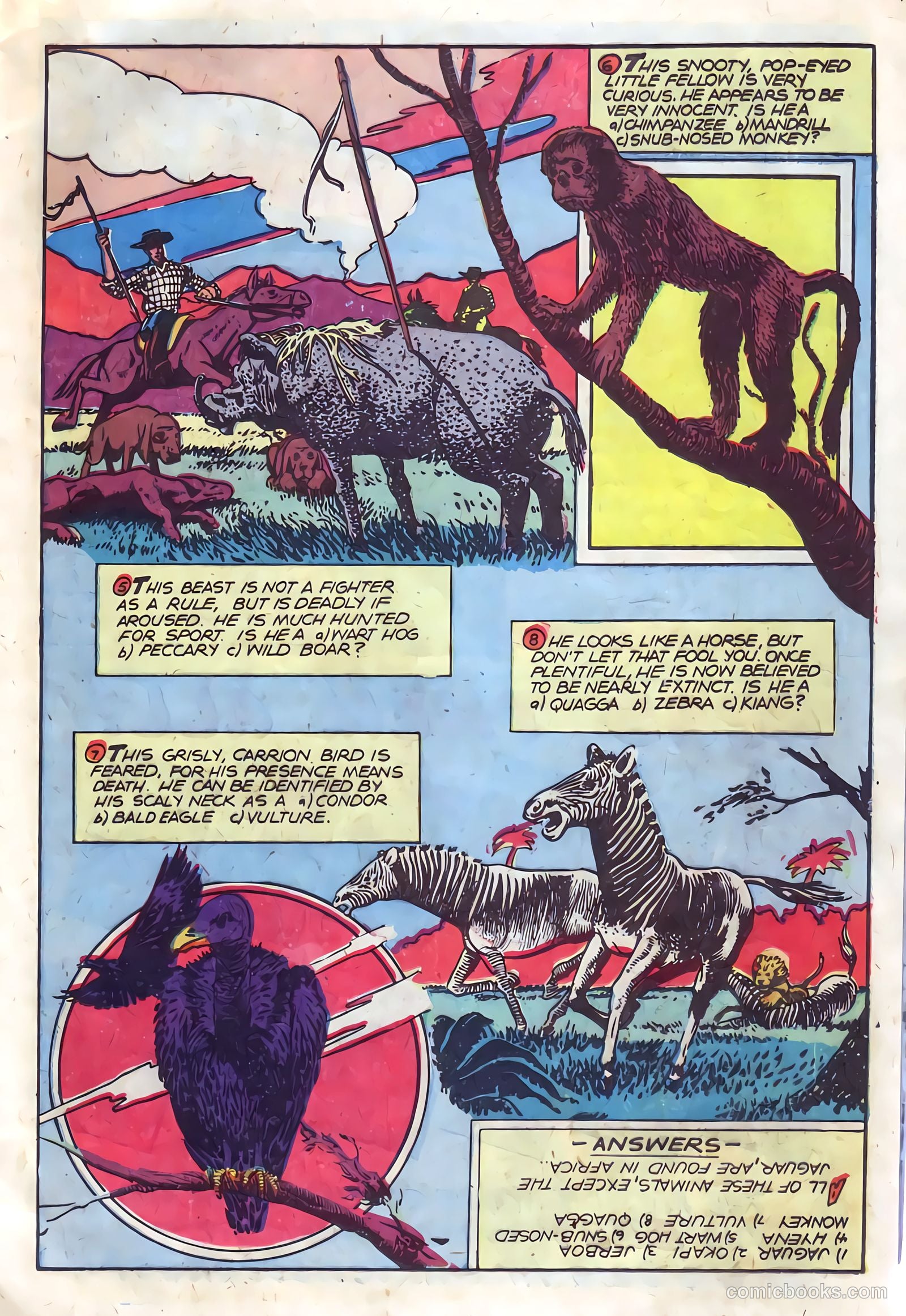 Wambi, Jungle Boy #11 — page 13 of 36