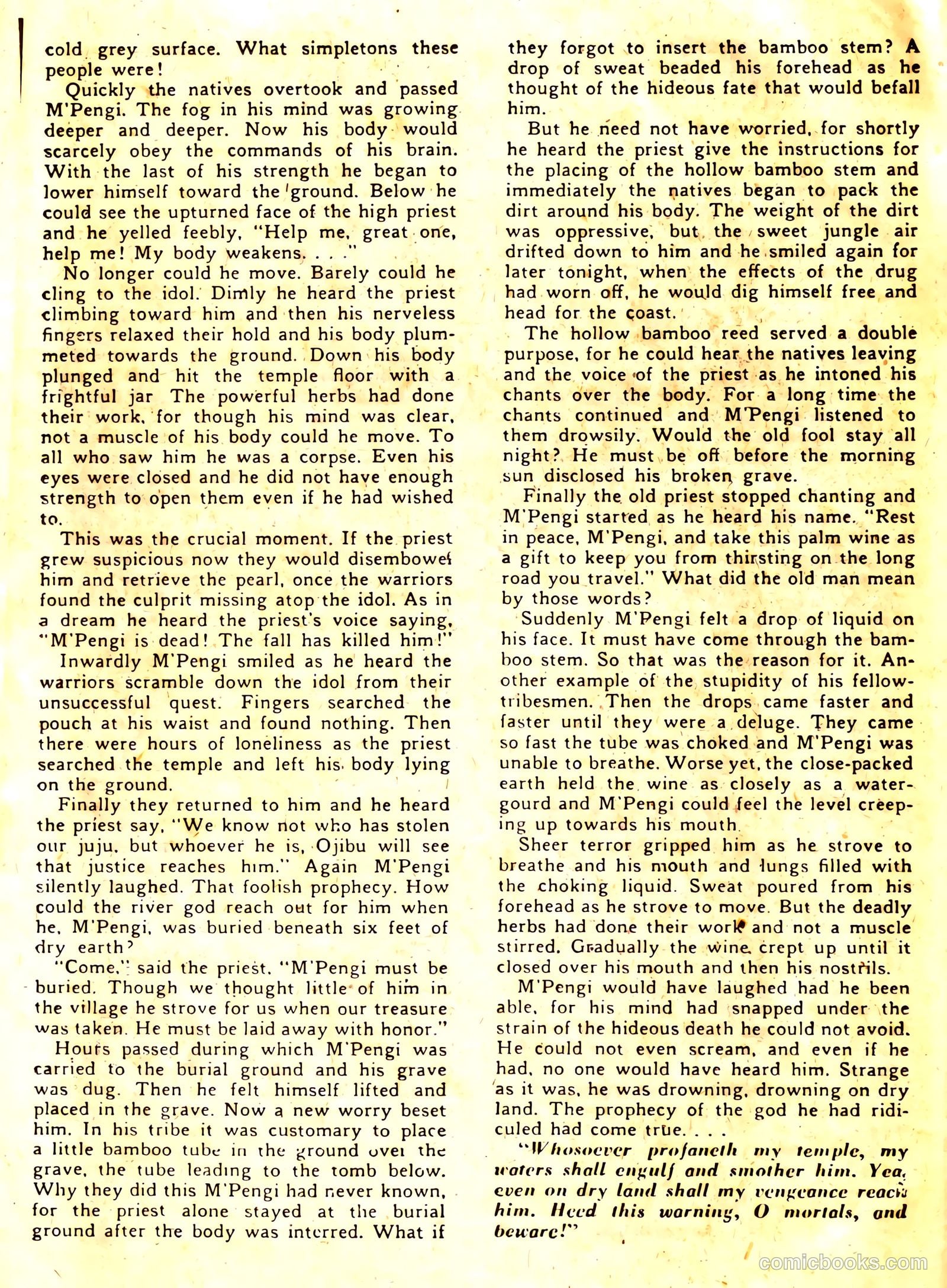 Wambi, Jungle Boy #11 — page 22 of 36