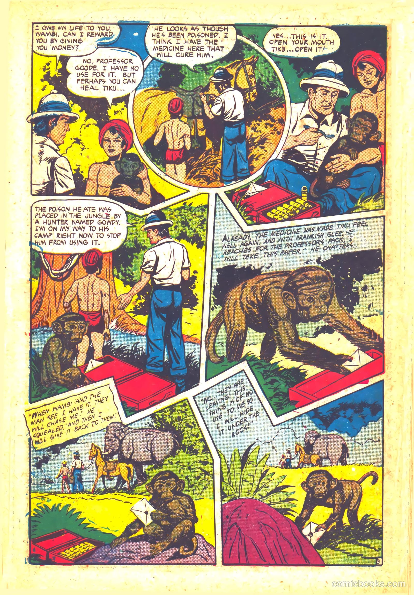 Wambi, Jungle Boy #12 — page 6 of 36